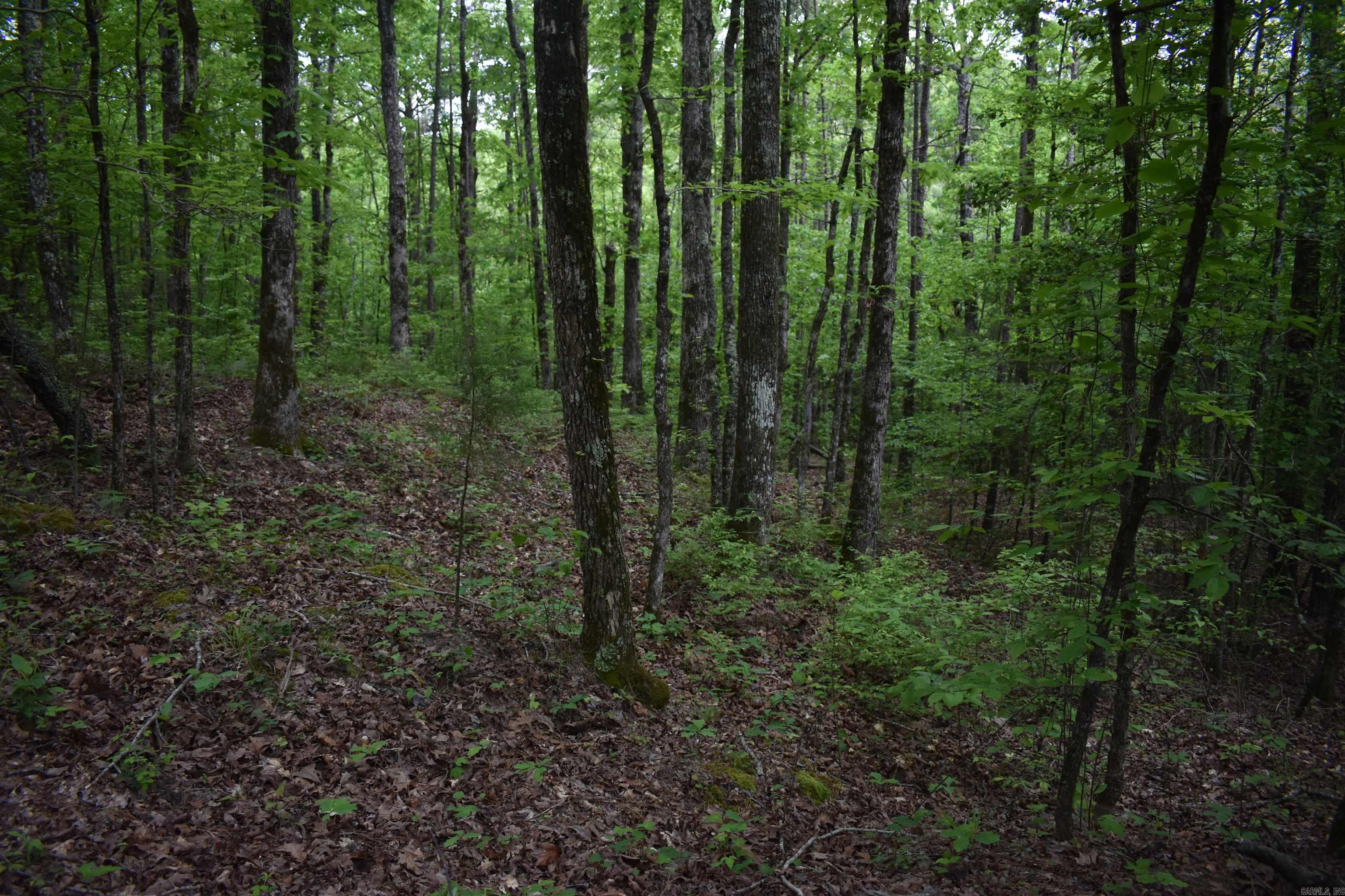 0000  Pole Thickett Road  Black Sprs., AR