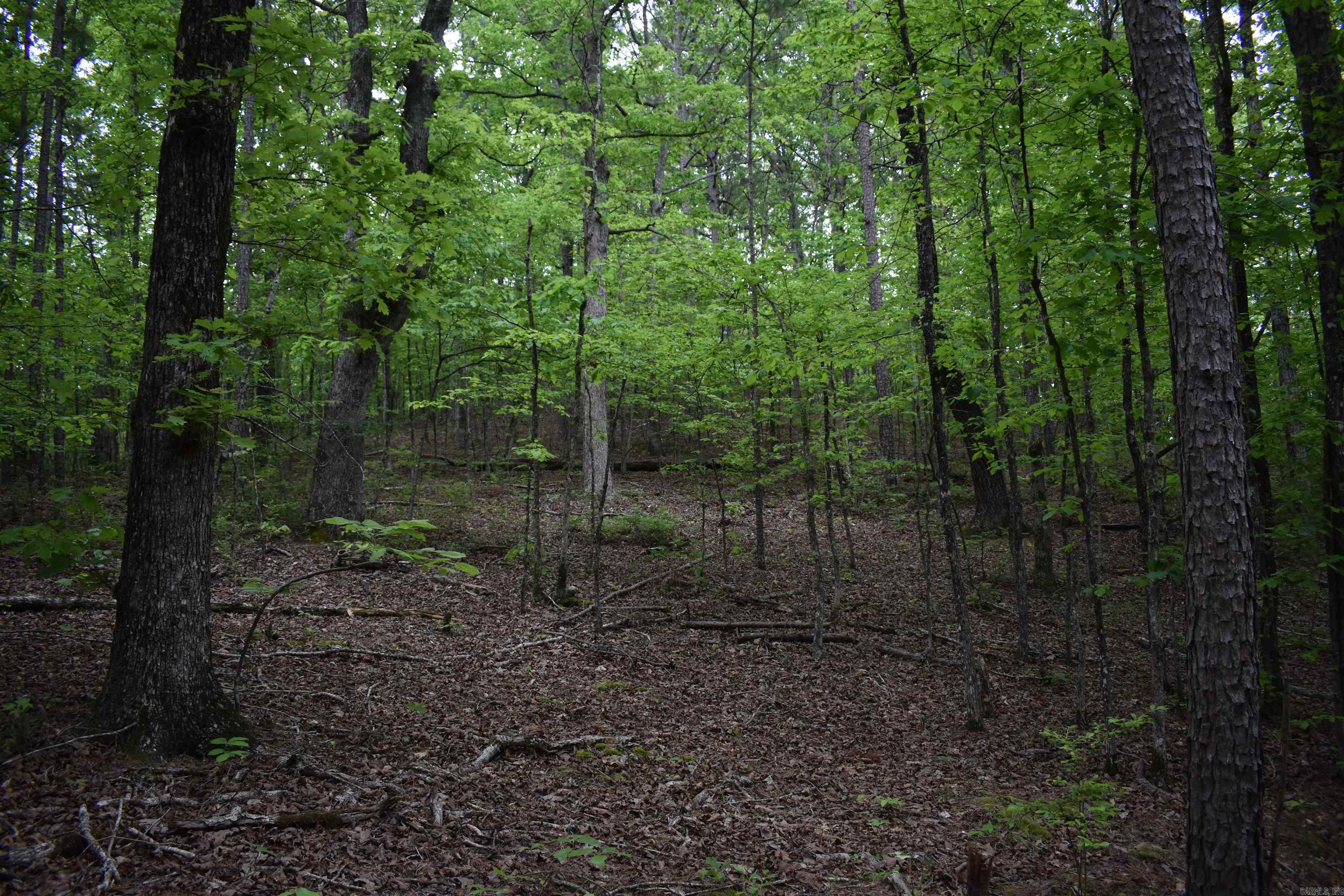 0000  Pole Thickett Road  Black Sprs., AR