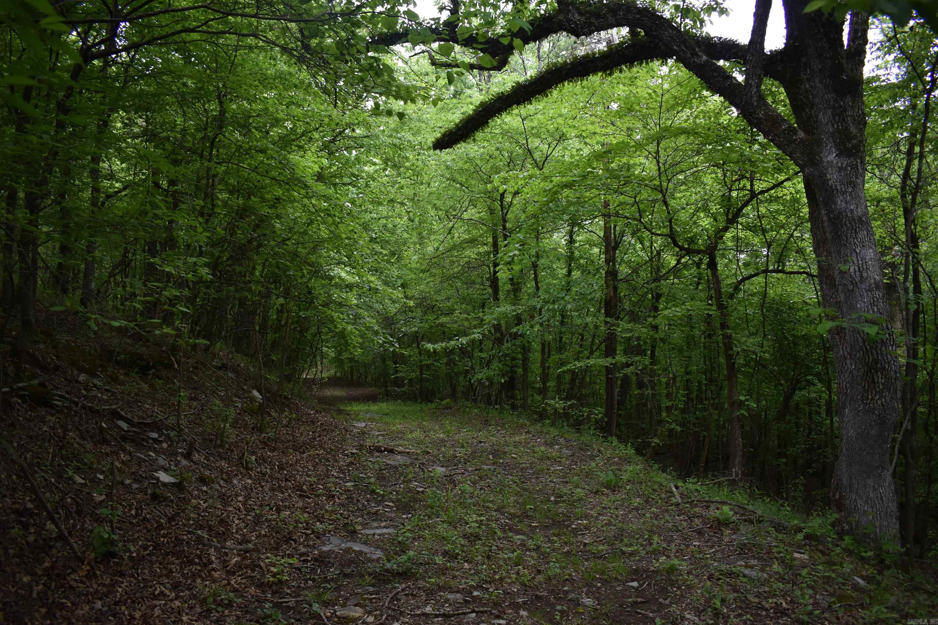 0000  Pole Thickett Road  Black Sprs., AR