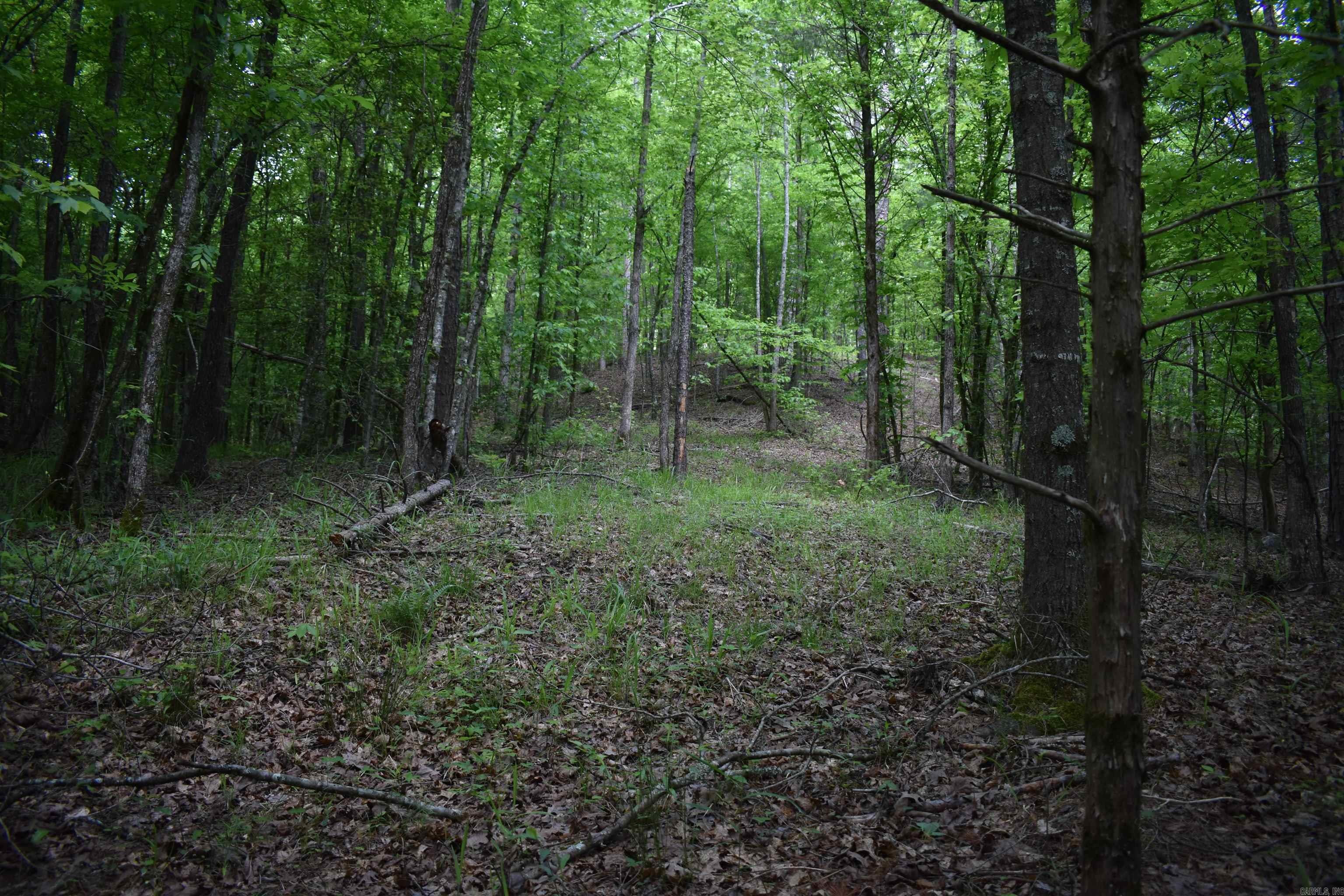 0000  Pole Thickett Road  Black Sprs., AR