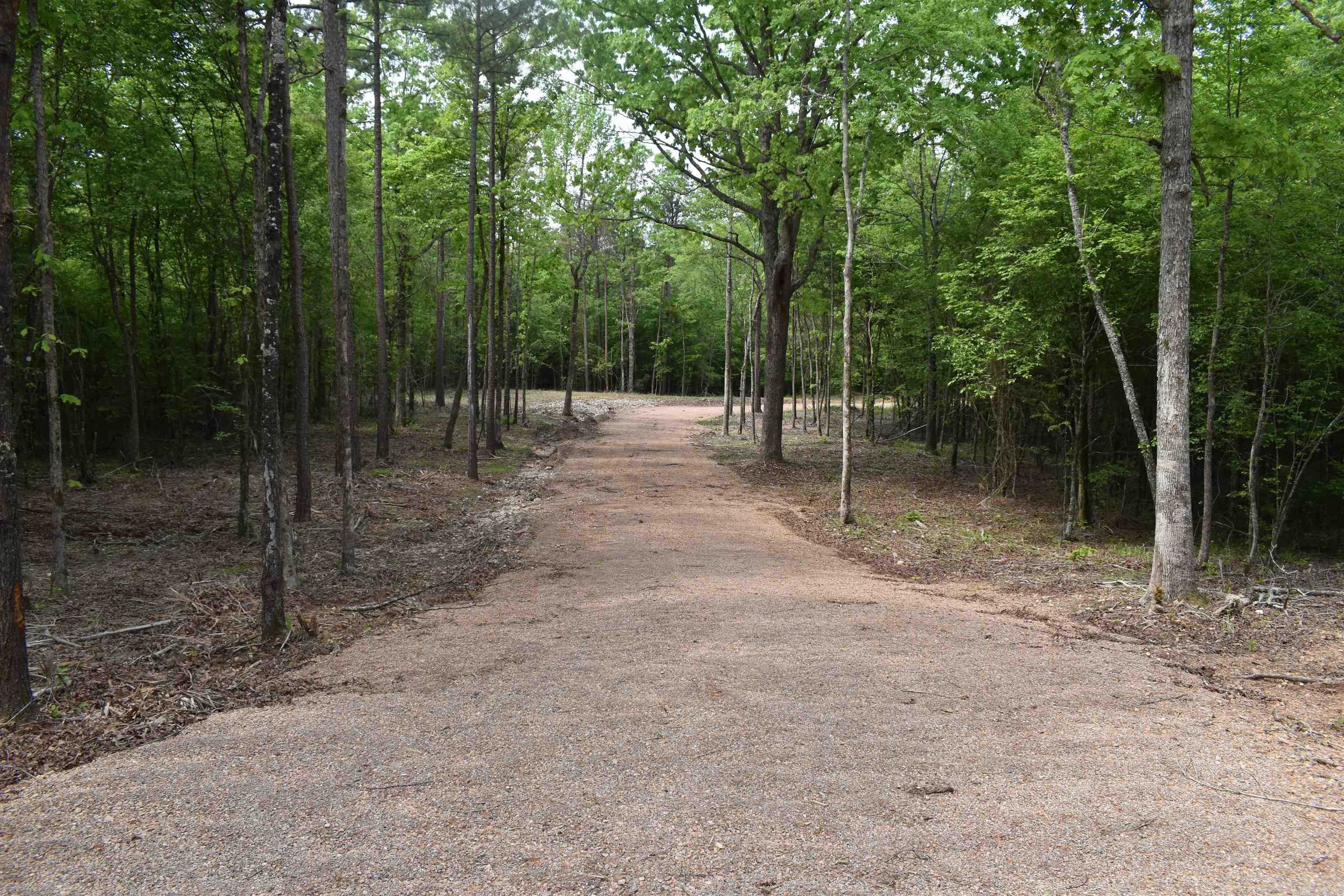 0000  Pole Thickett Road  Black Sprs., AR