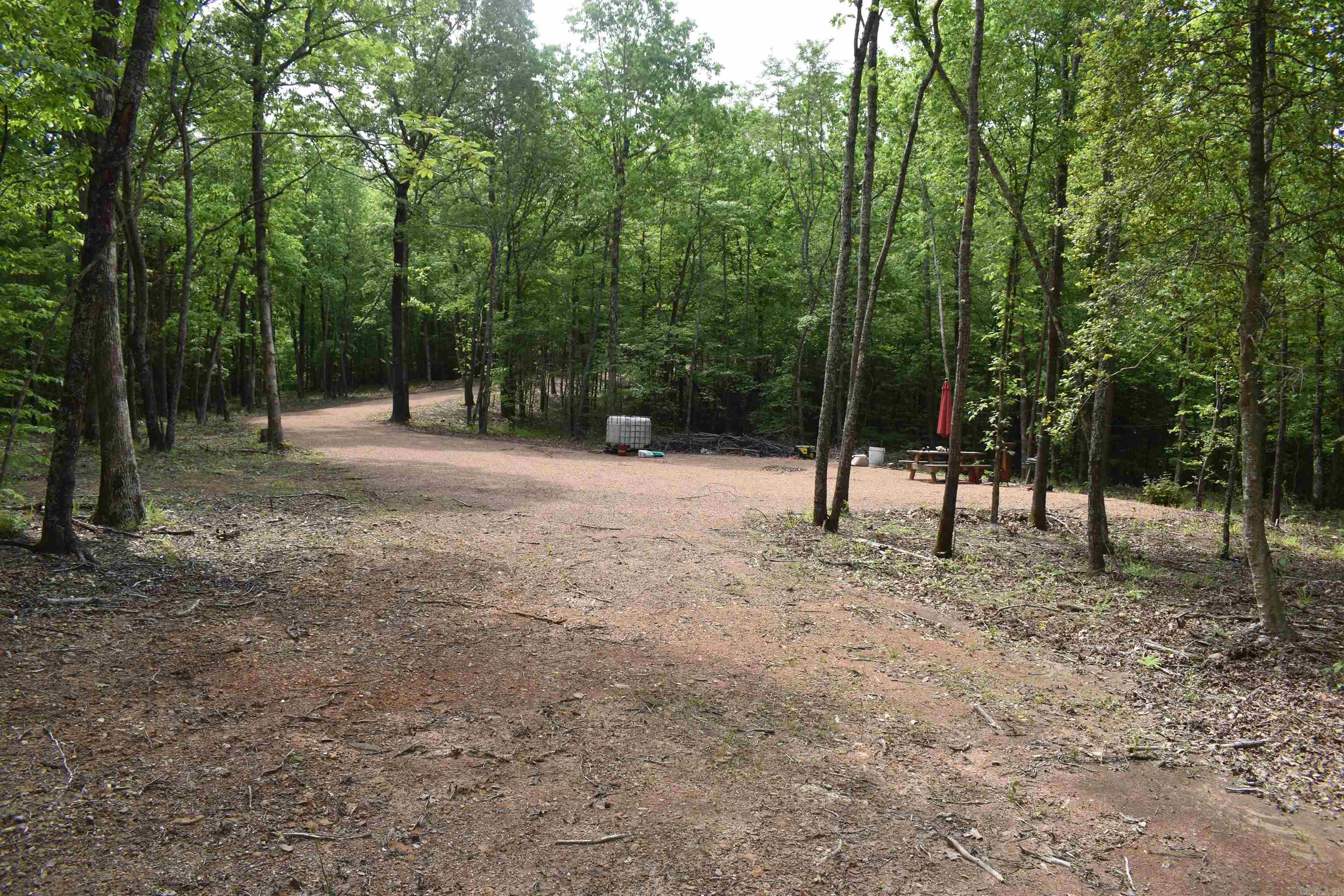 0000  Pole Thickett Road  Black Sprs., AR