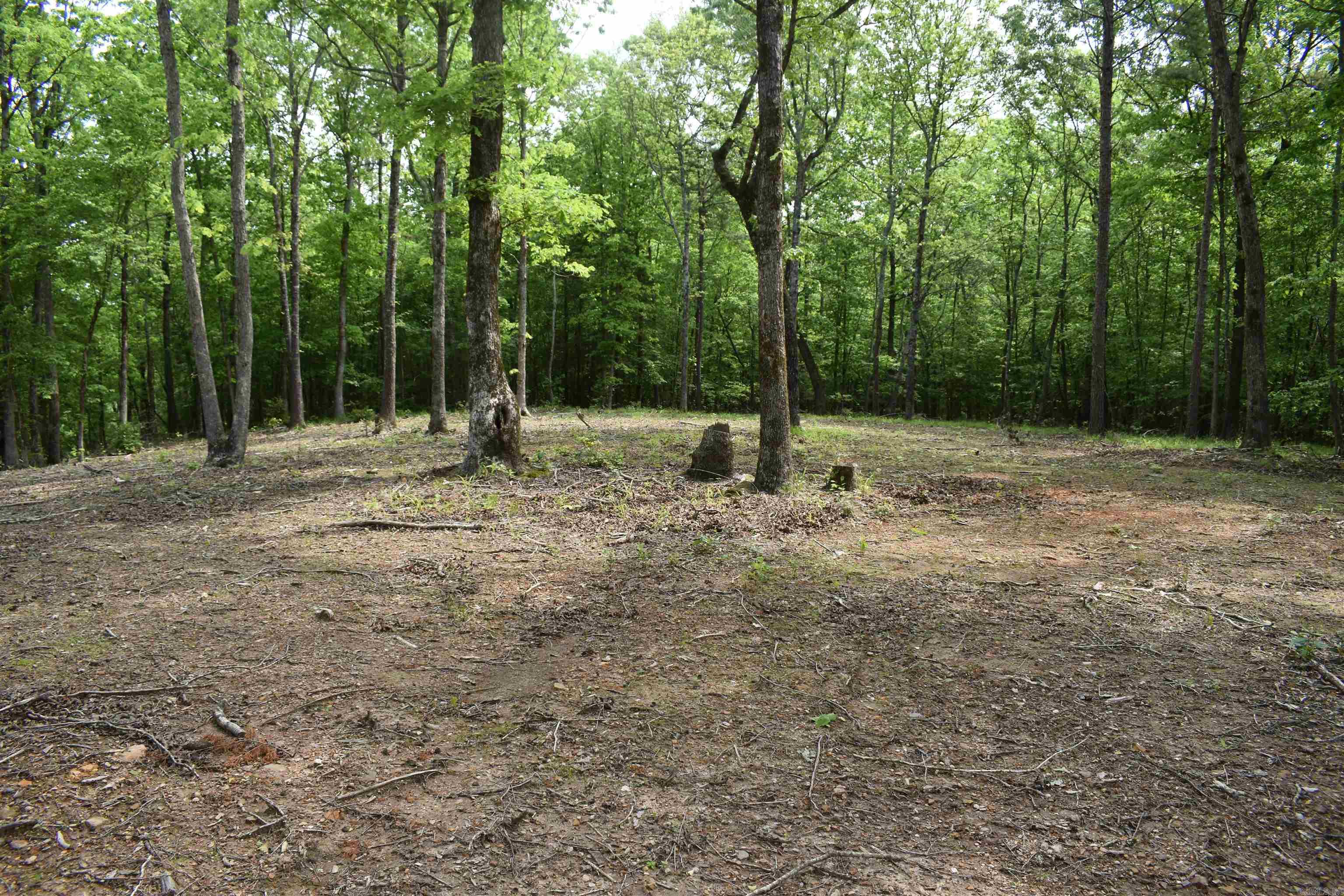 0000  Pole Thickett Road  Black Sprs., AR