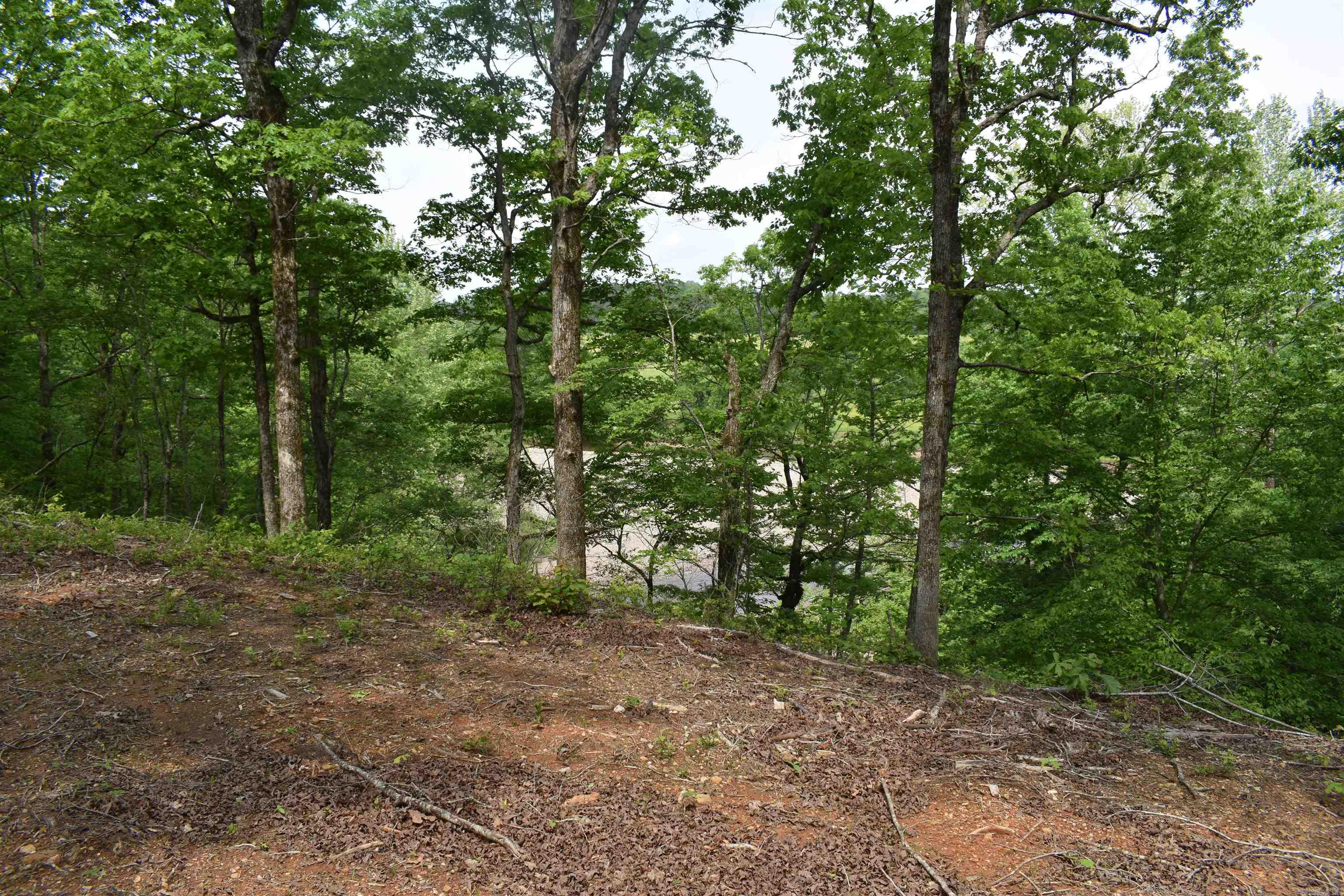 0000  Pole Thickett Road  Black Sprs., AR