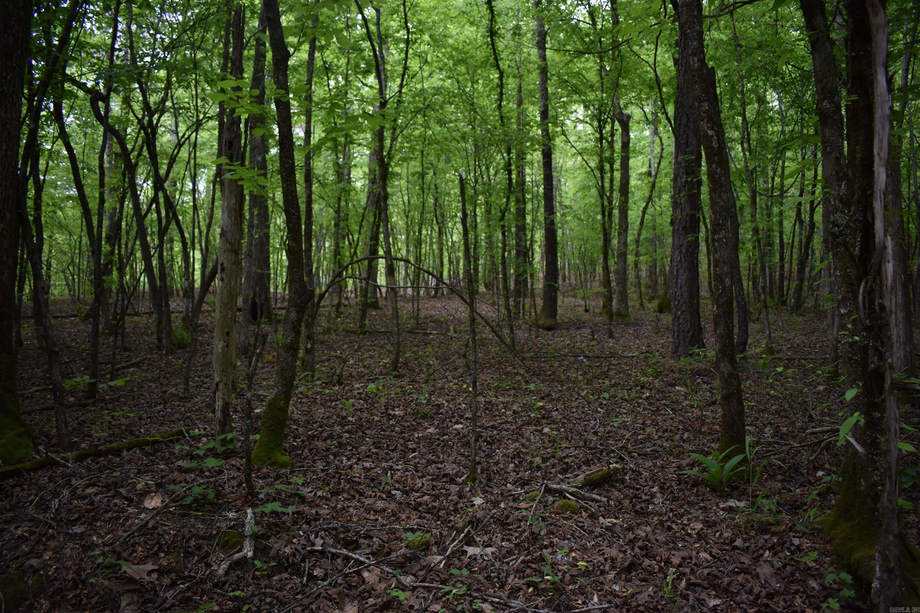 0000  Pole Thickett Road  Black Sprs., AR