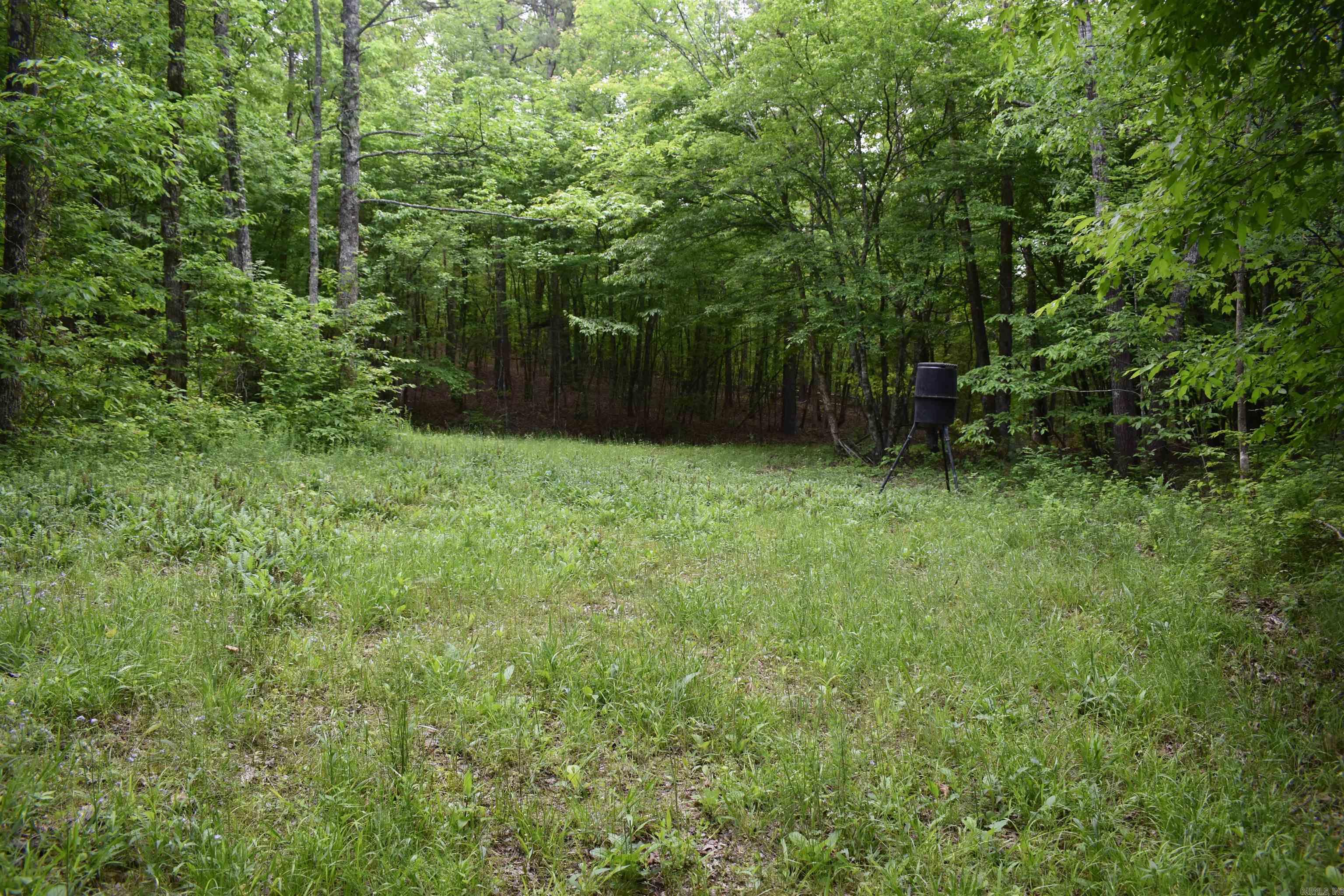 0000  Pole Thickett Road  Black Sprs., AR