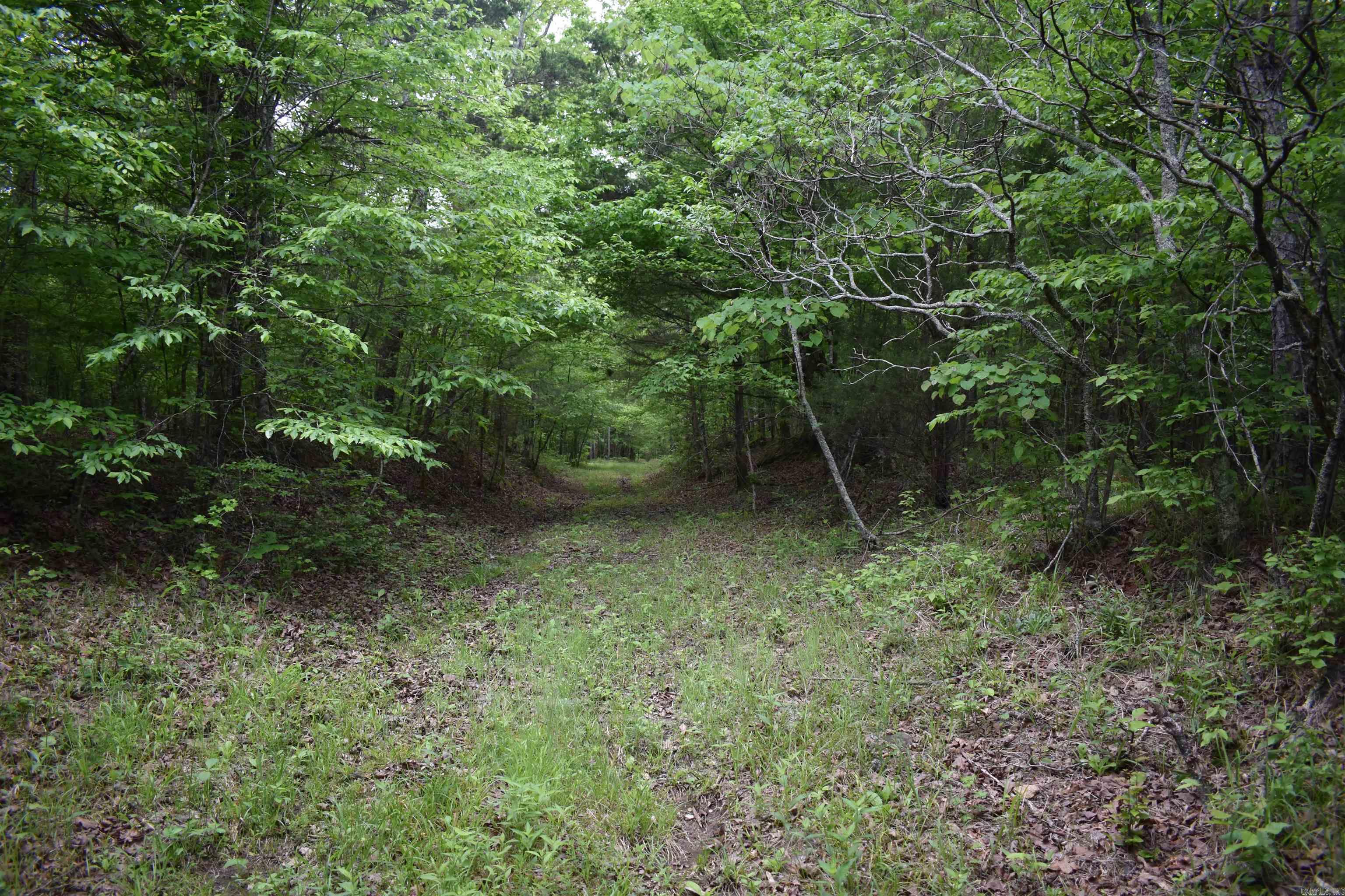 0000  Pole Thickett Road  Black Sprs., AR