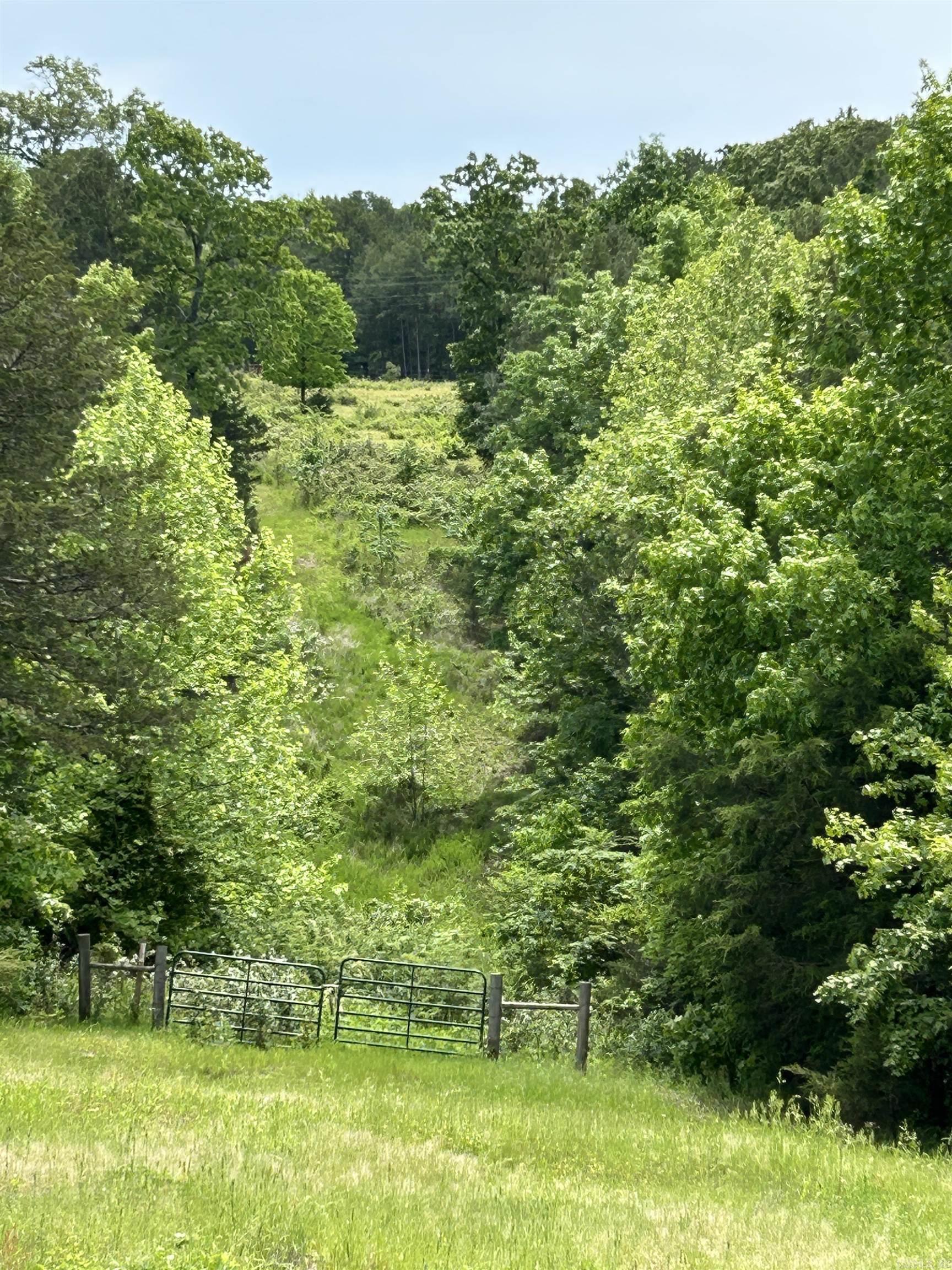 2525  Mountain Park  Shirley, AR