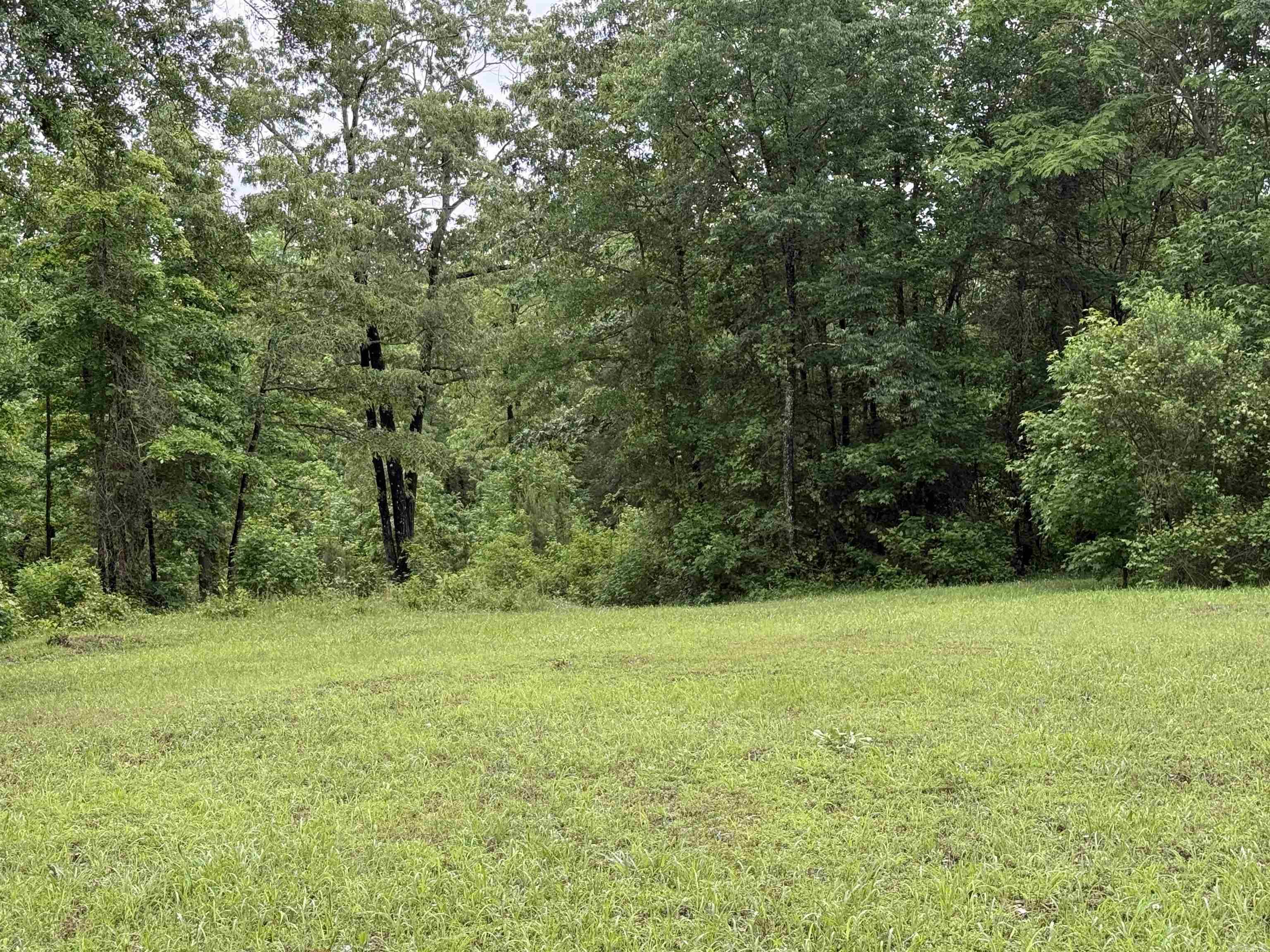 391  Angel  Amity, AR