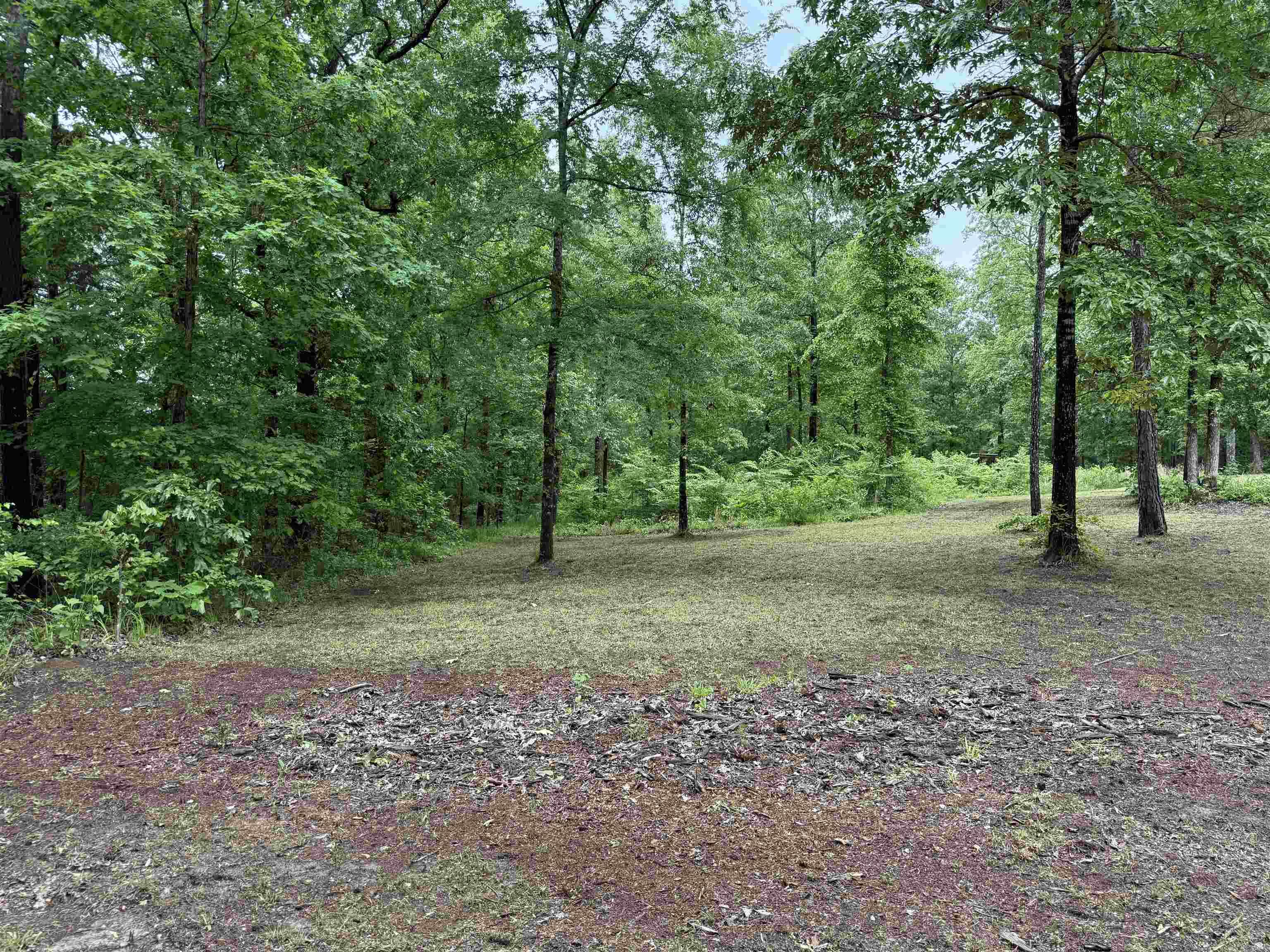 391  Angel  Amity, AR