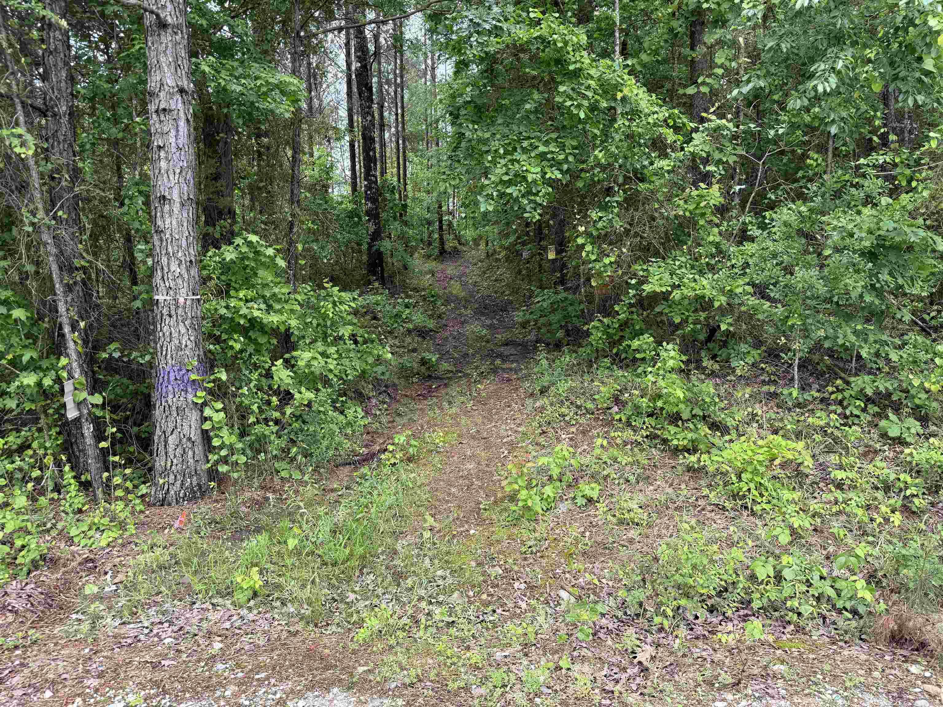 391  Angel  Amity, AR