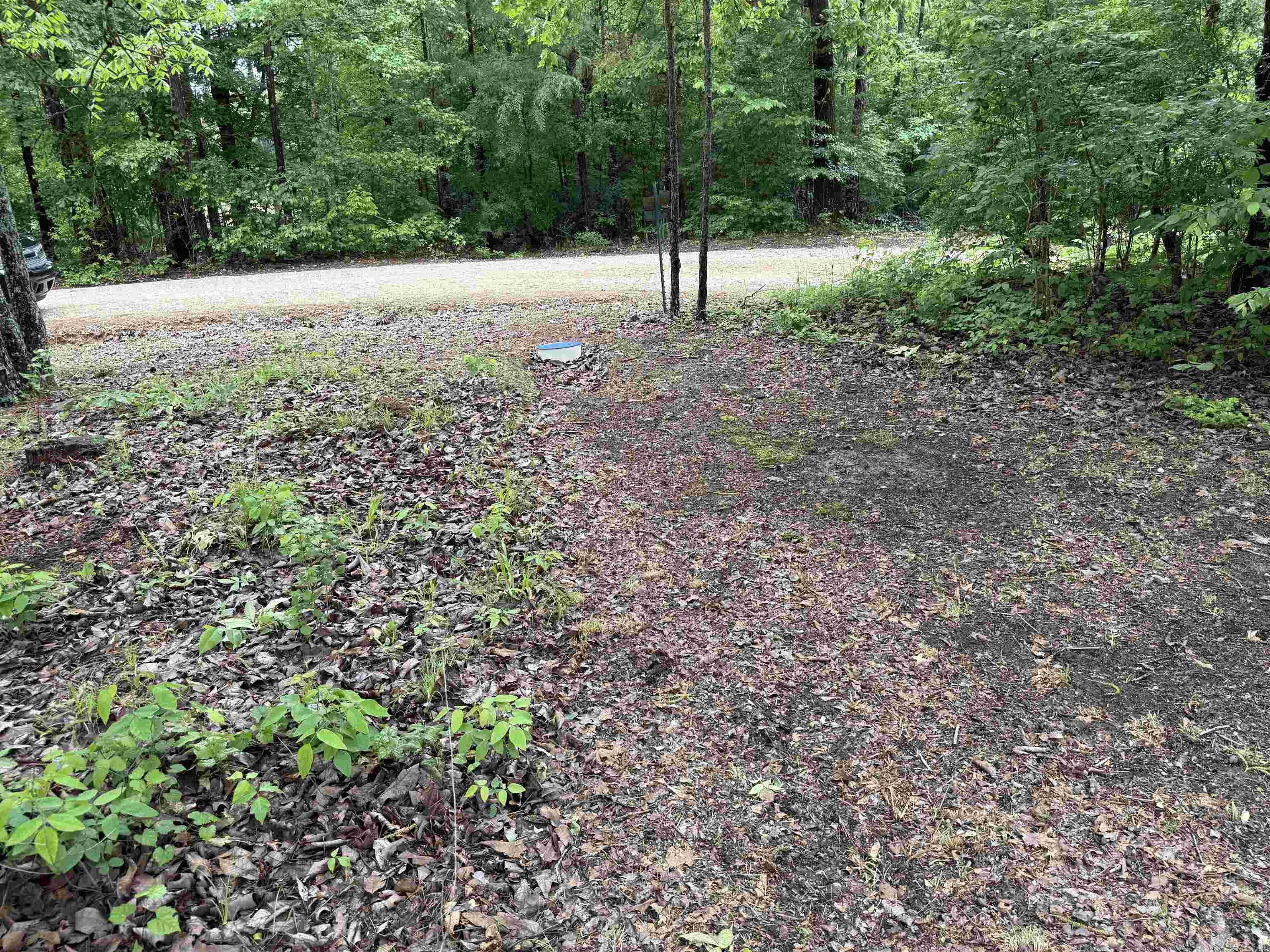 391  Angel  Amity, AR