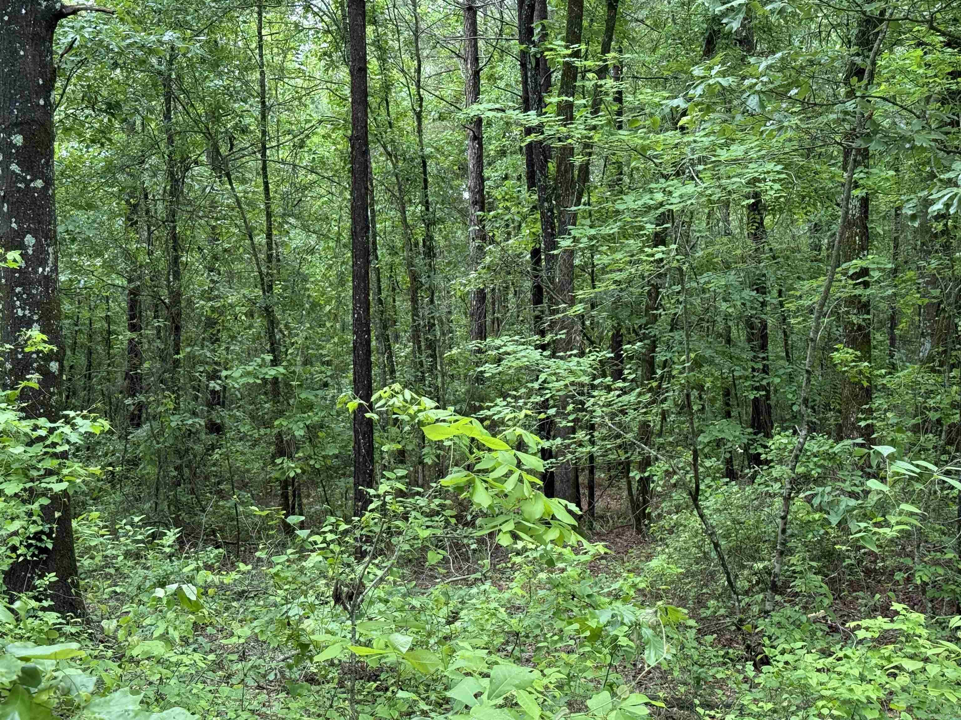 391  Angel  Amity, AR