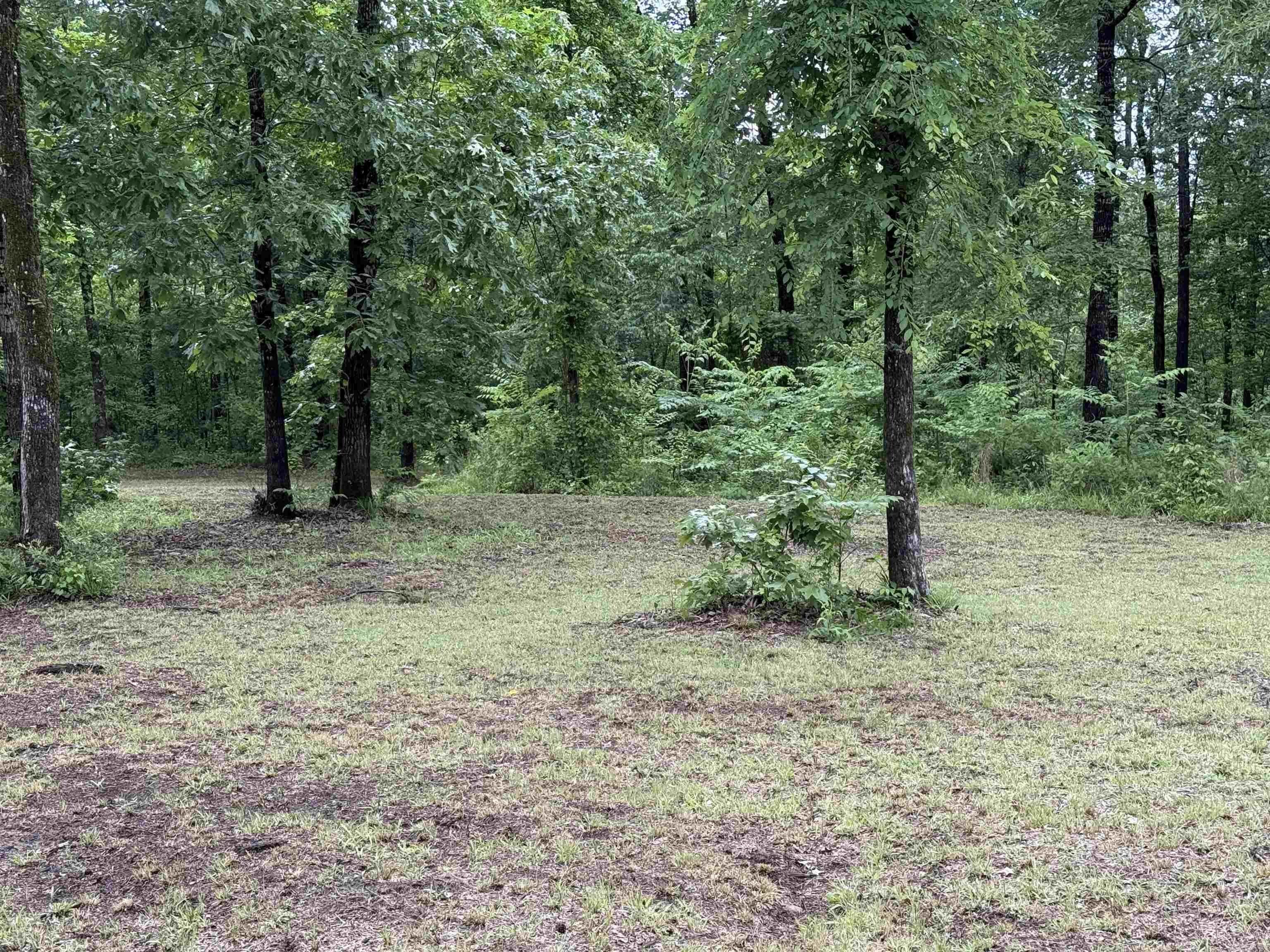 391  Angel  Amity, AR