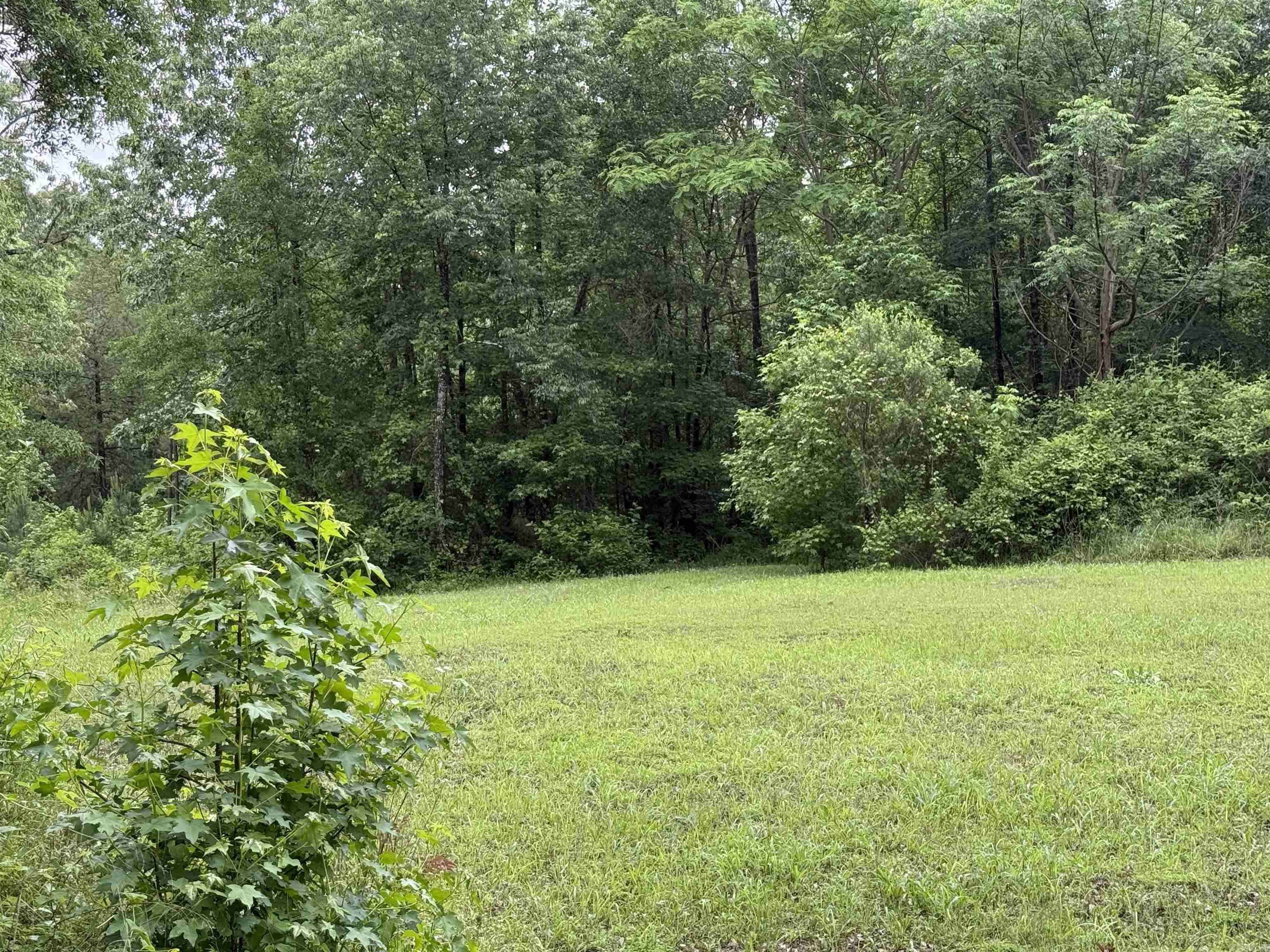 391  Angel  Amity, AR
