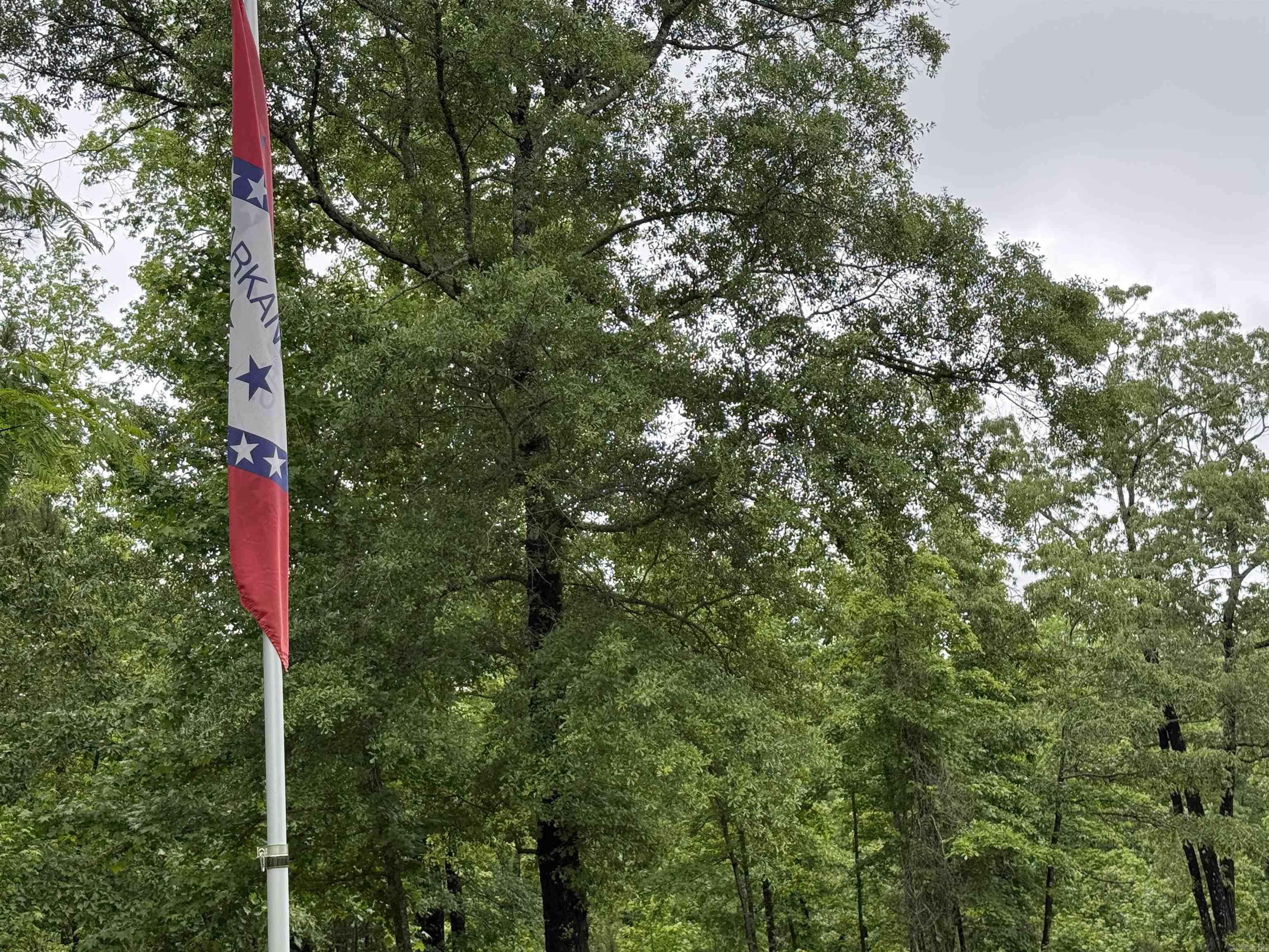 391  Angel  Amity, AR
