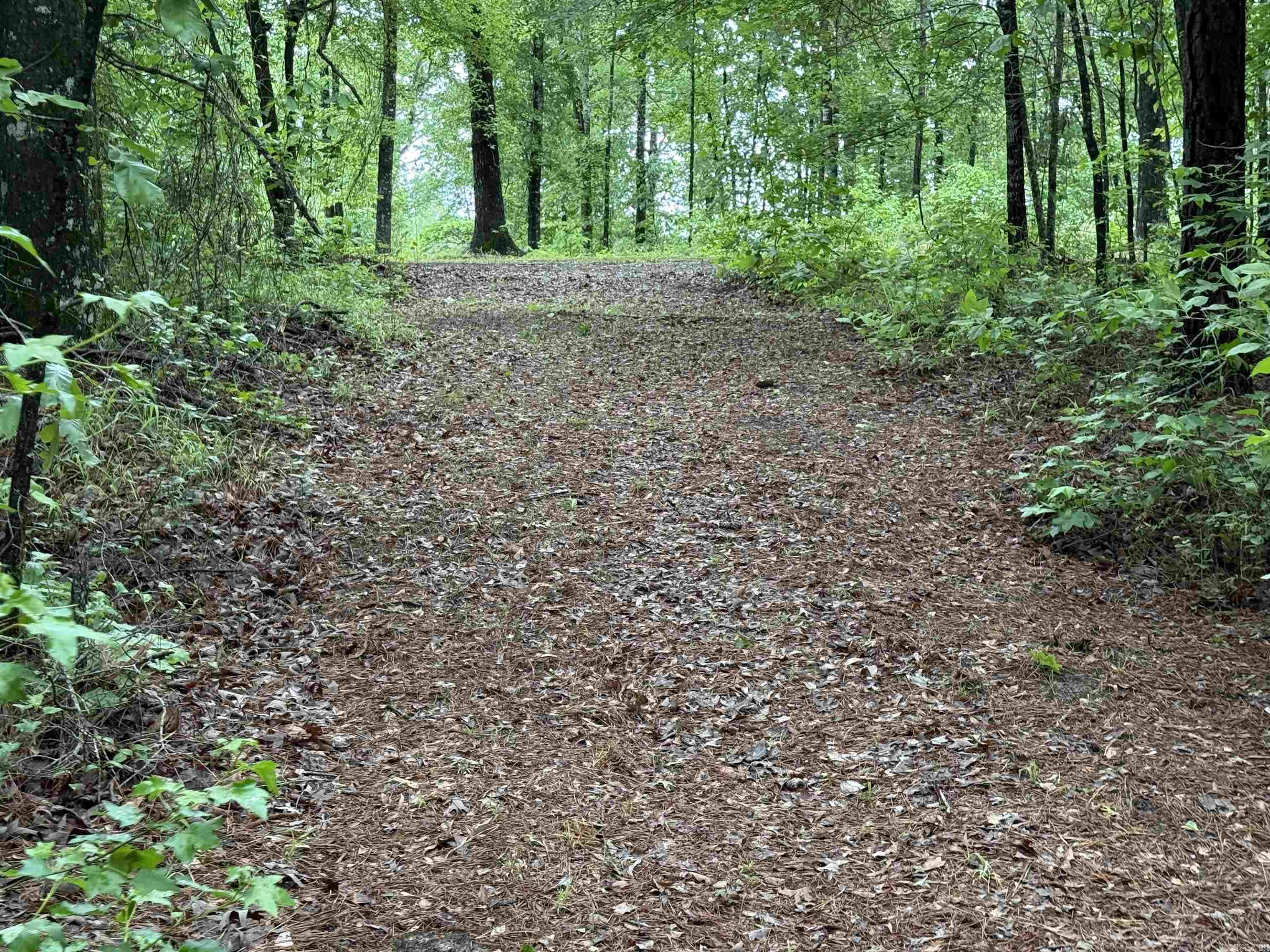 391  Angel  Amity, AR