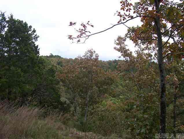 00 Honeysuckle Lane Quitman, AR 72131