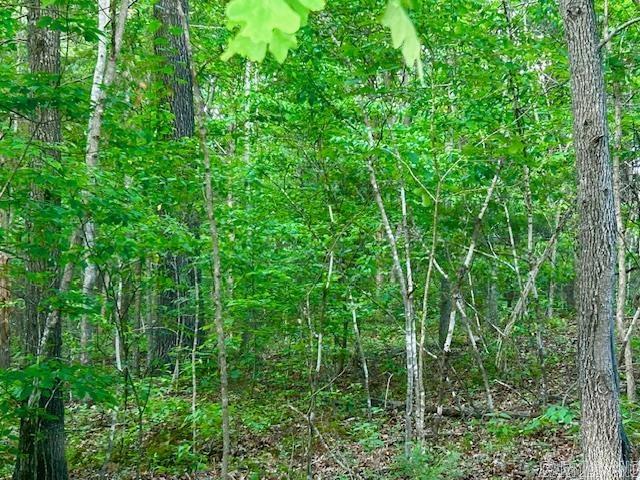   Lick Fork  Mountain View, AR