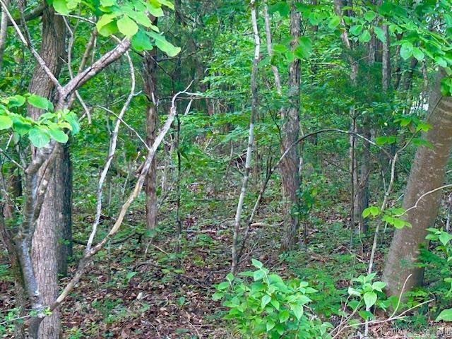   Lick Fork  Mountain View, AR