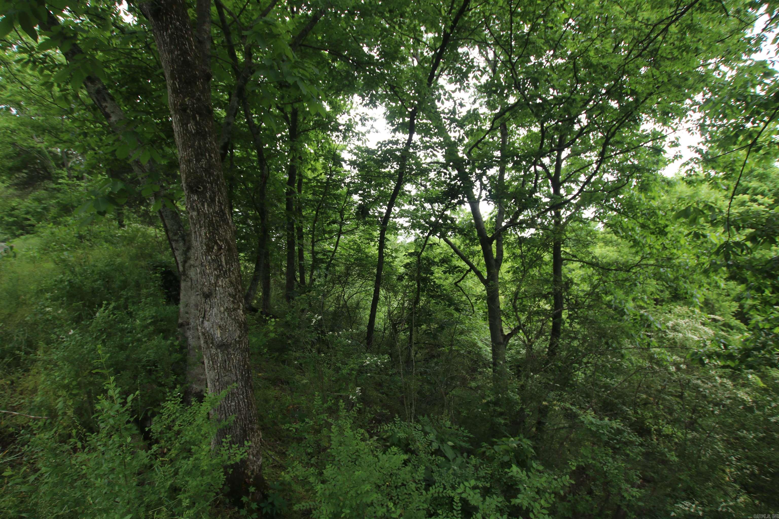 000 Bottoms  Road  Plumerville, AR