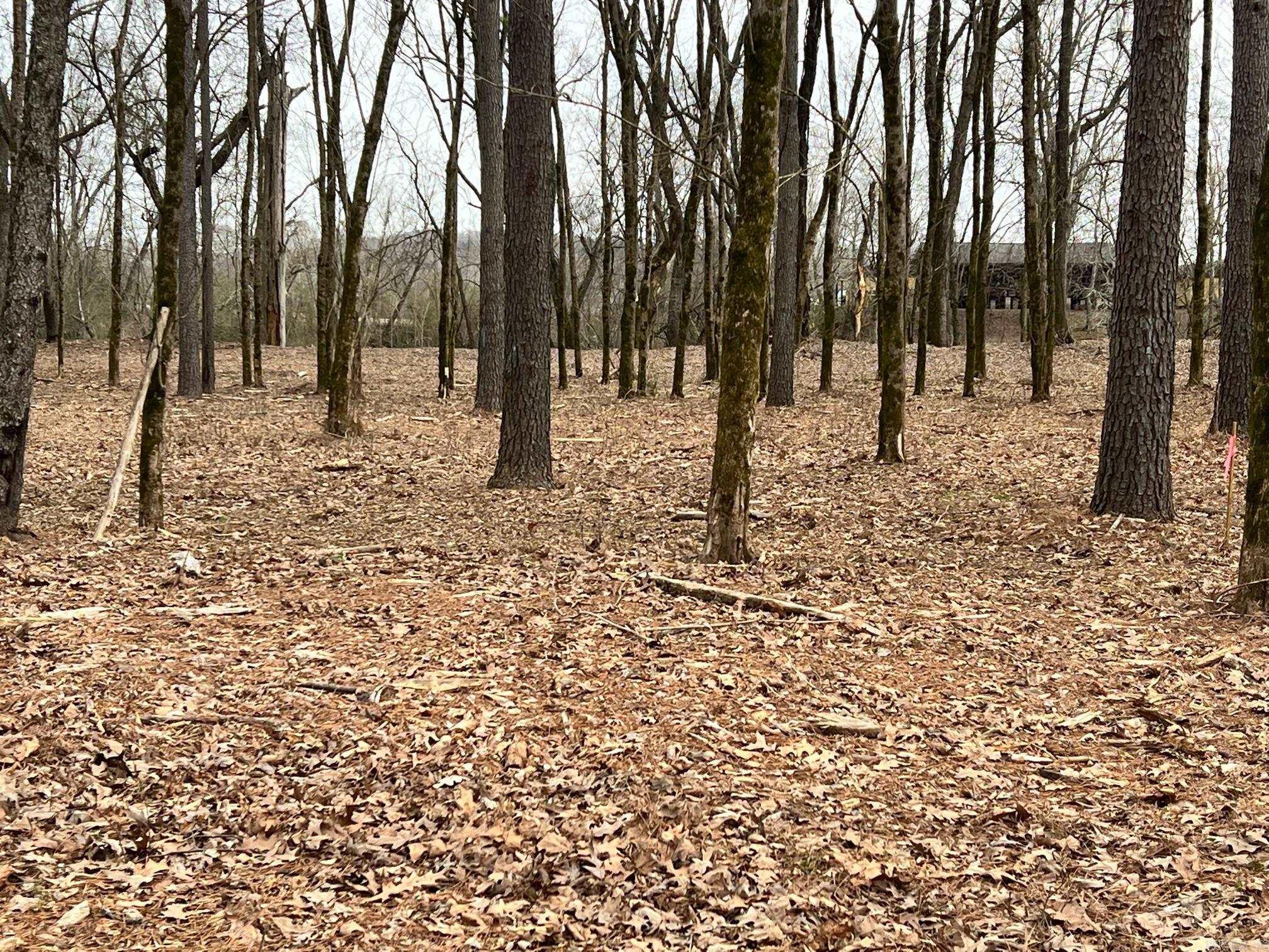 0  Sunshine  Pangburn, AR