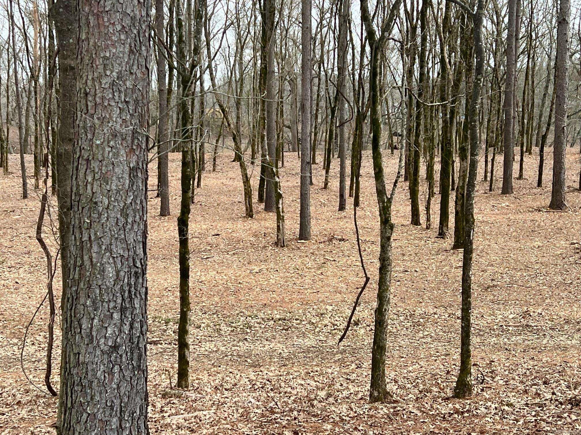 00  Sunshine  Pangburn, AR