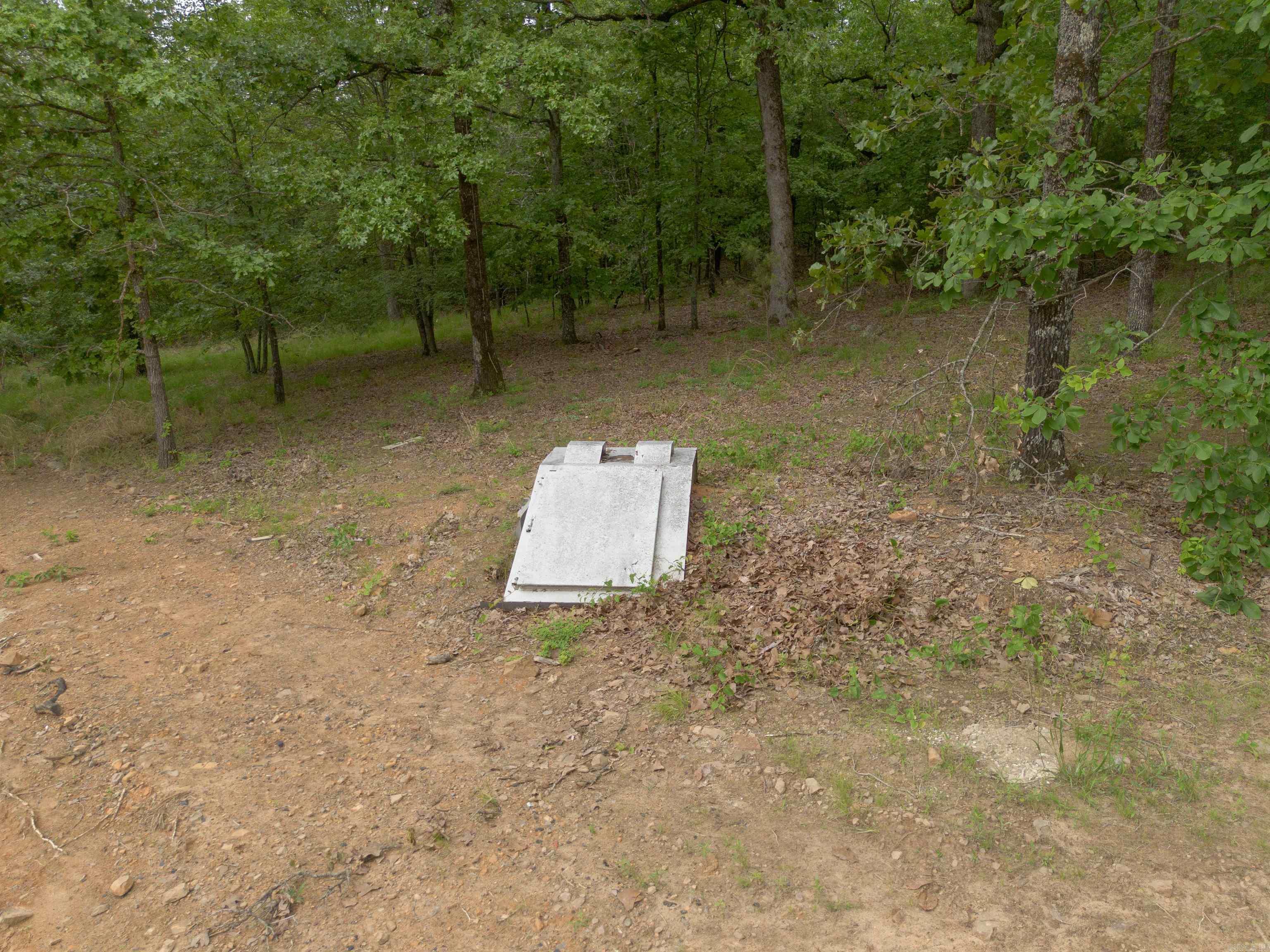 39  Billy Goat Mountain  Vilonia, AR