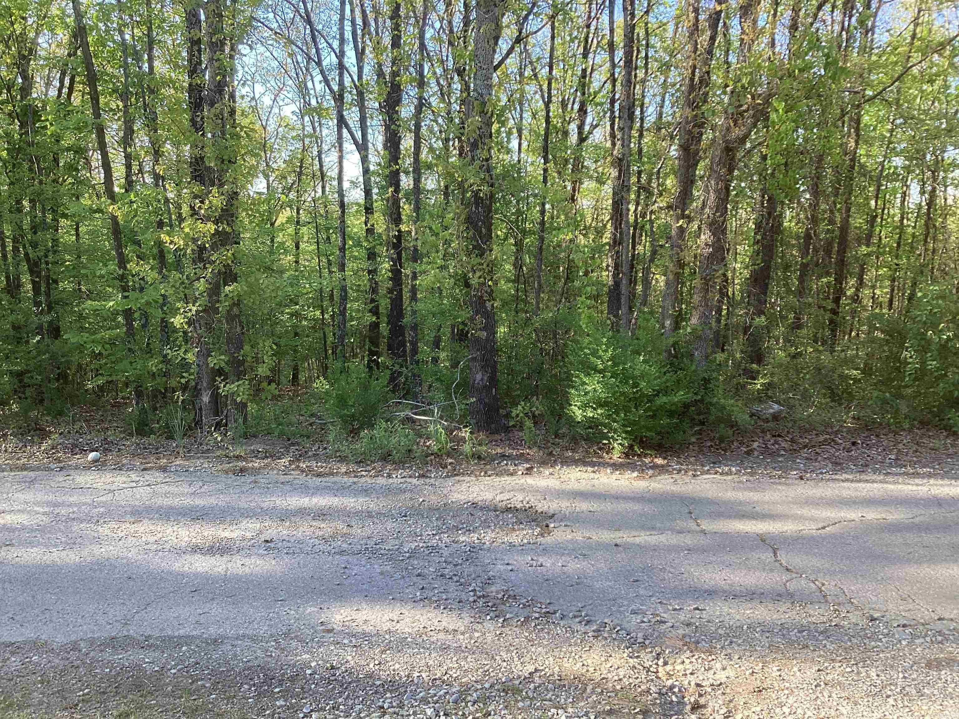 lot 10  Pine Ridge Rd  Rose Bud, AR