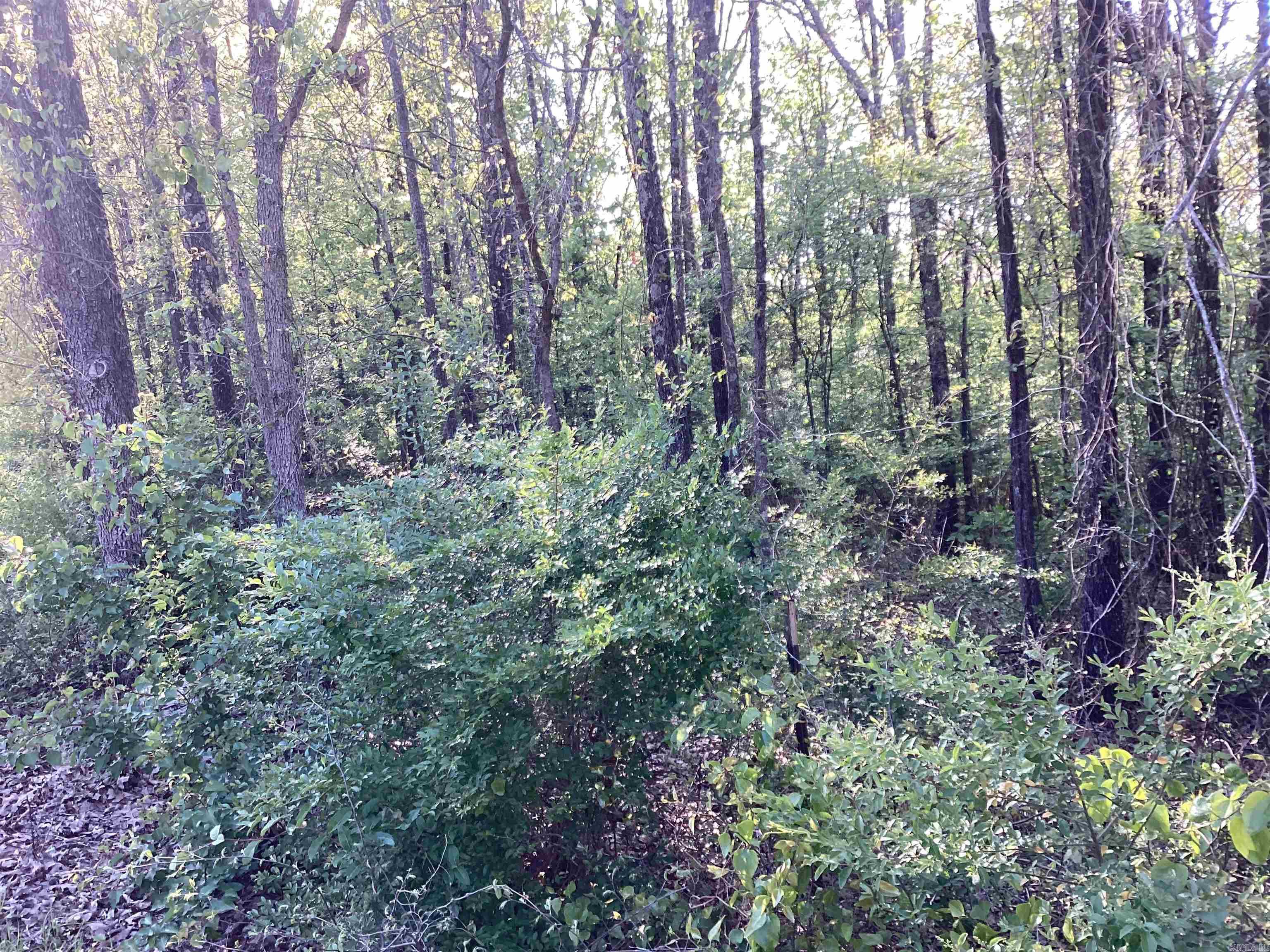 lot 10  Pine Ridge Rd  Rose Bud, AR