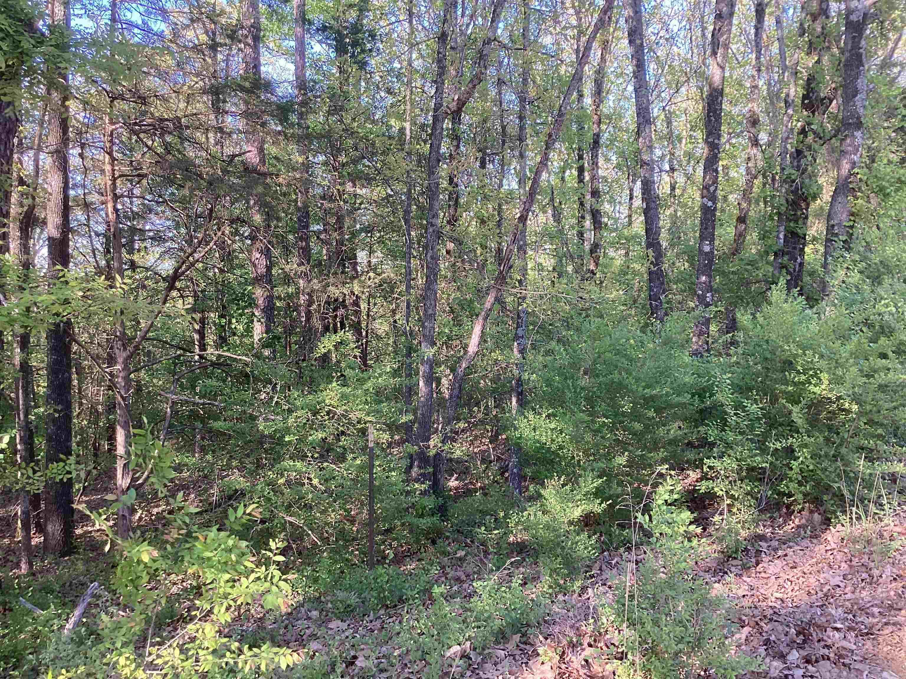 lot 10  Pine Ridge Rd  Rose Bud, AR
