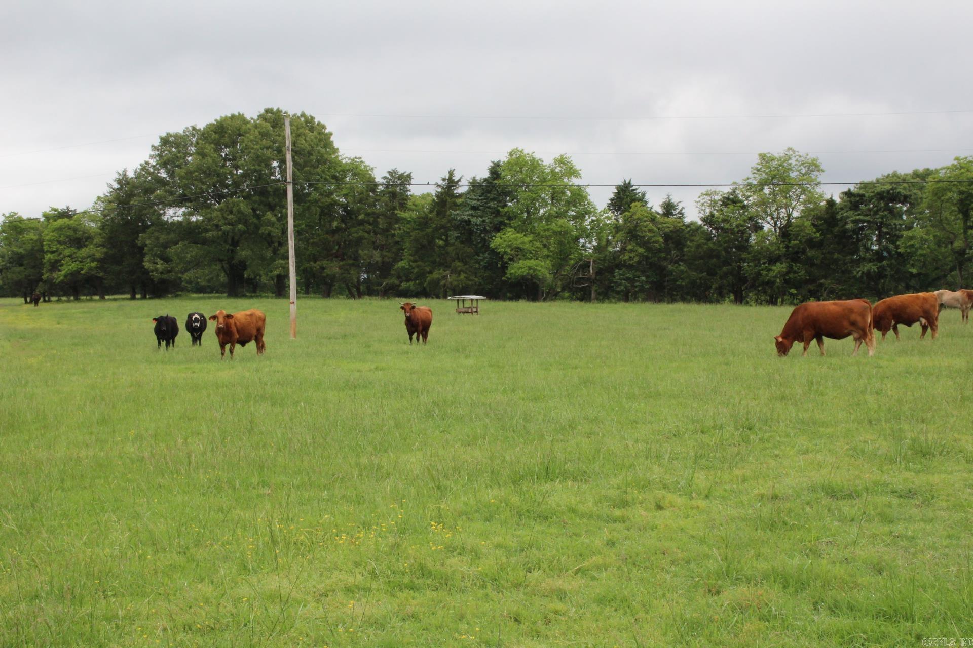 3811  MC 6014  Yellville, AR