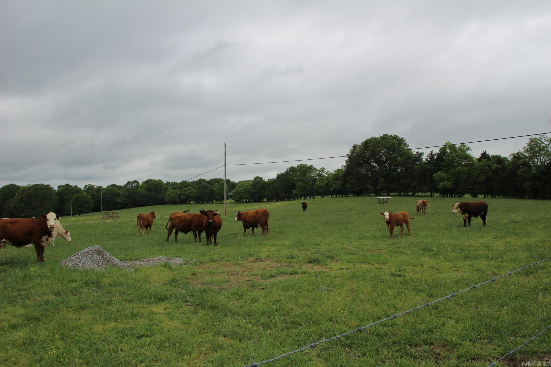 3811  MC 6014  Yellville, AR