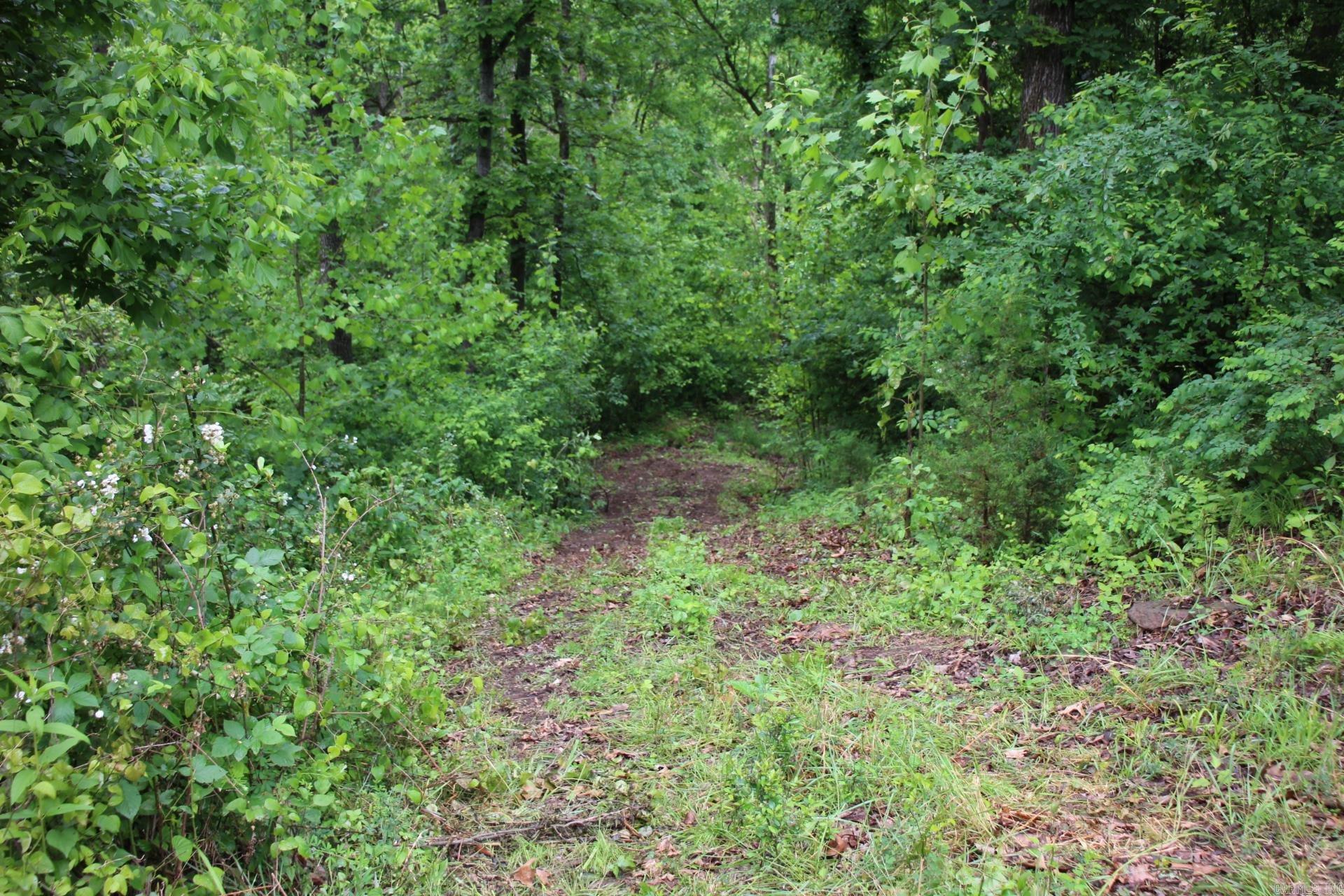 3811  MC 6014  Yellville, AR