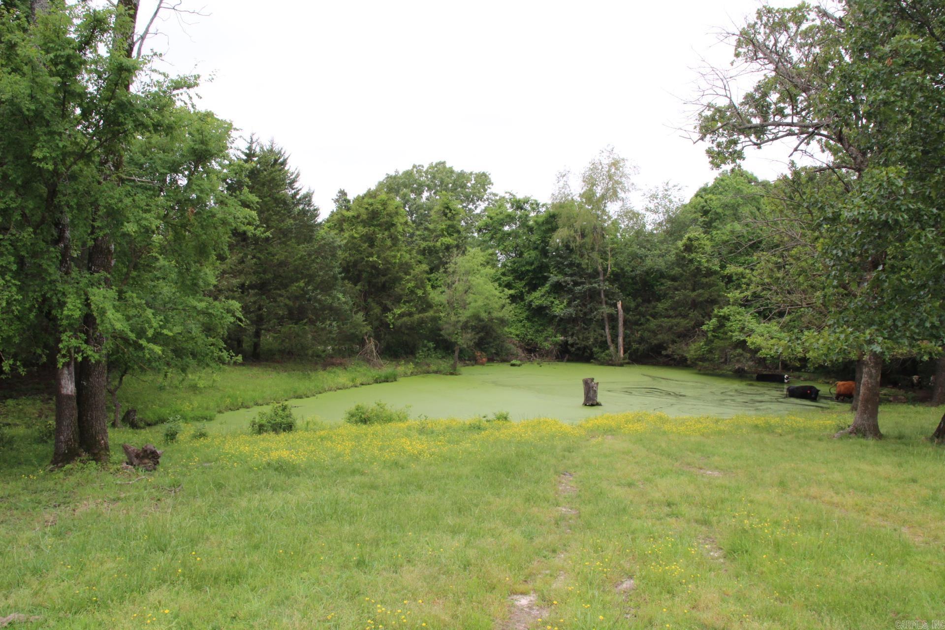 3811  MC 6014  Yellville, AR