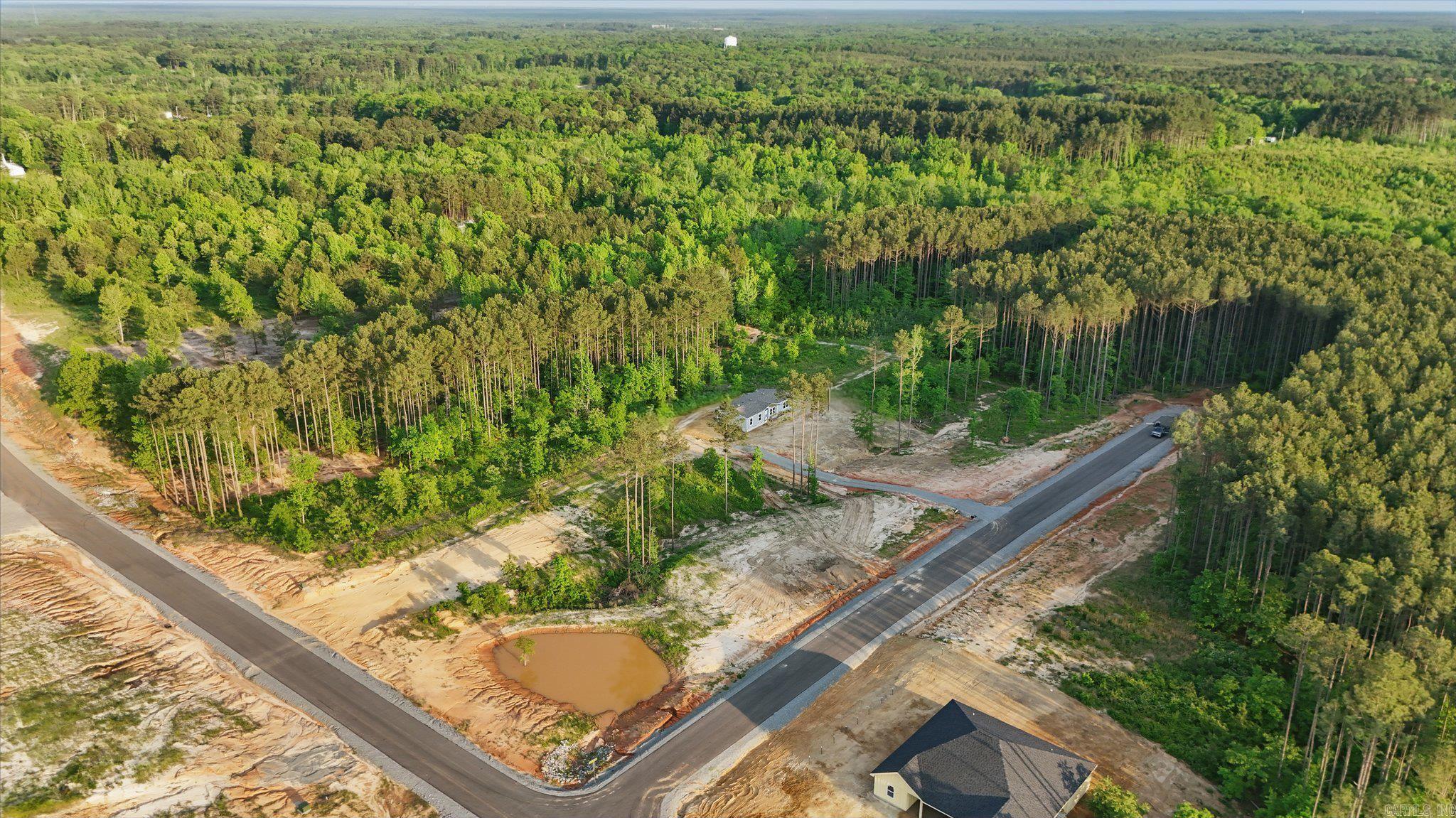 315 E Bristle Cone Lane  Mabelvale, AR