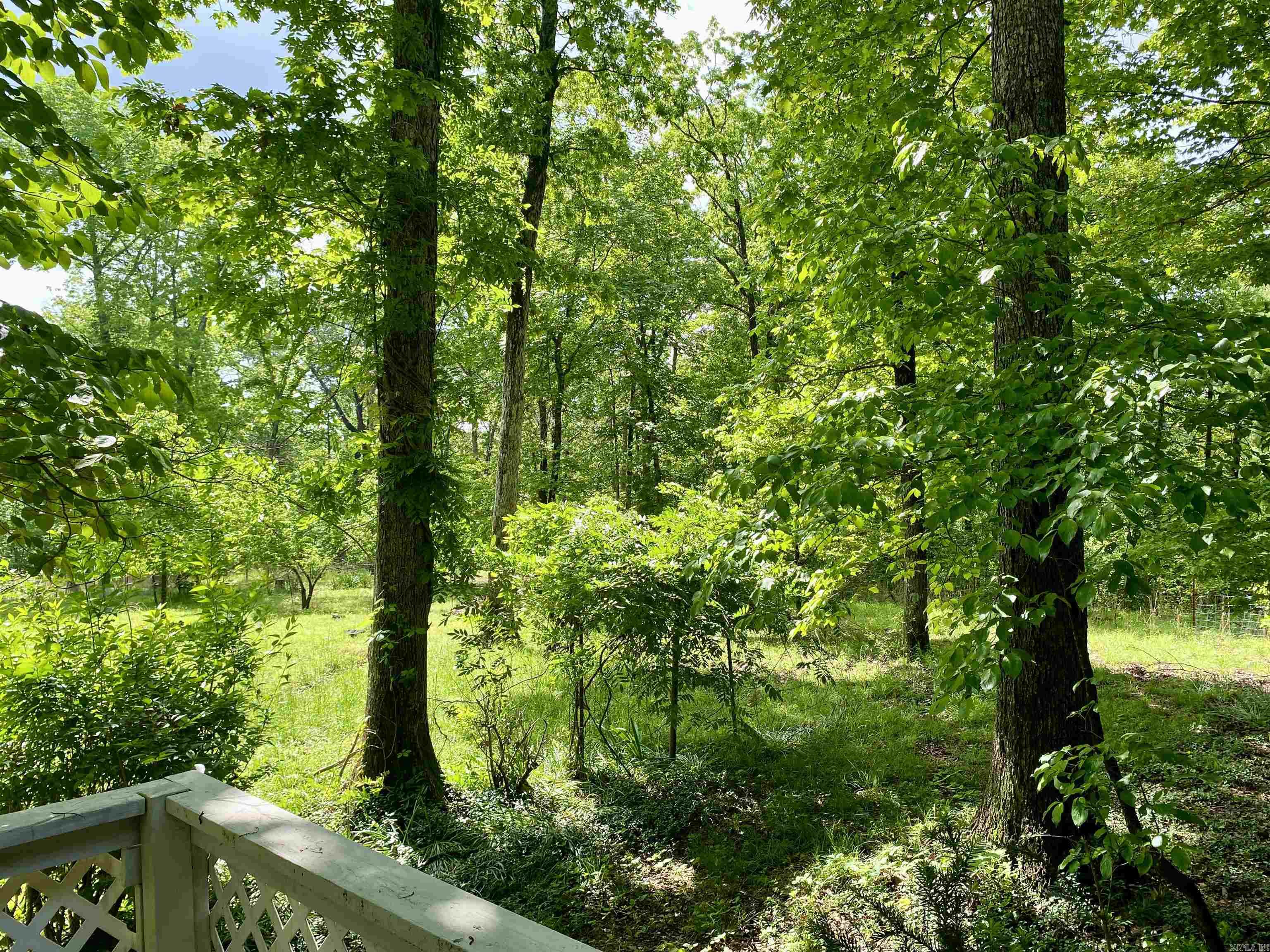770  Private Road 4472  Ozone, AR