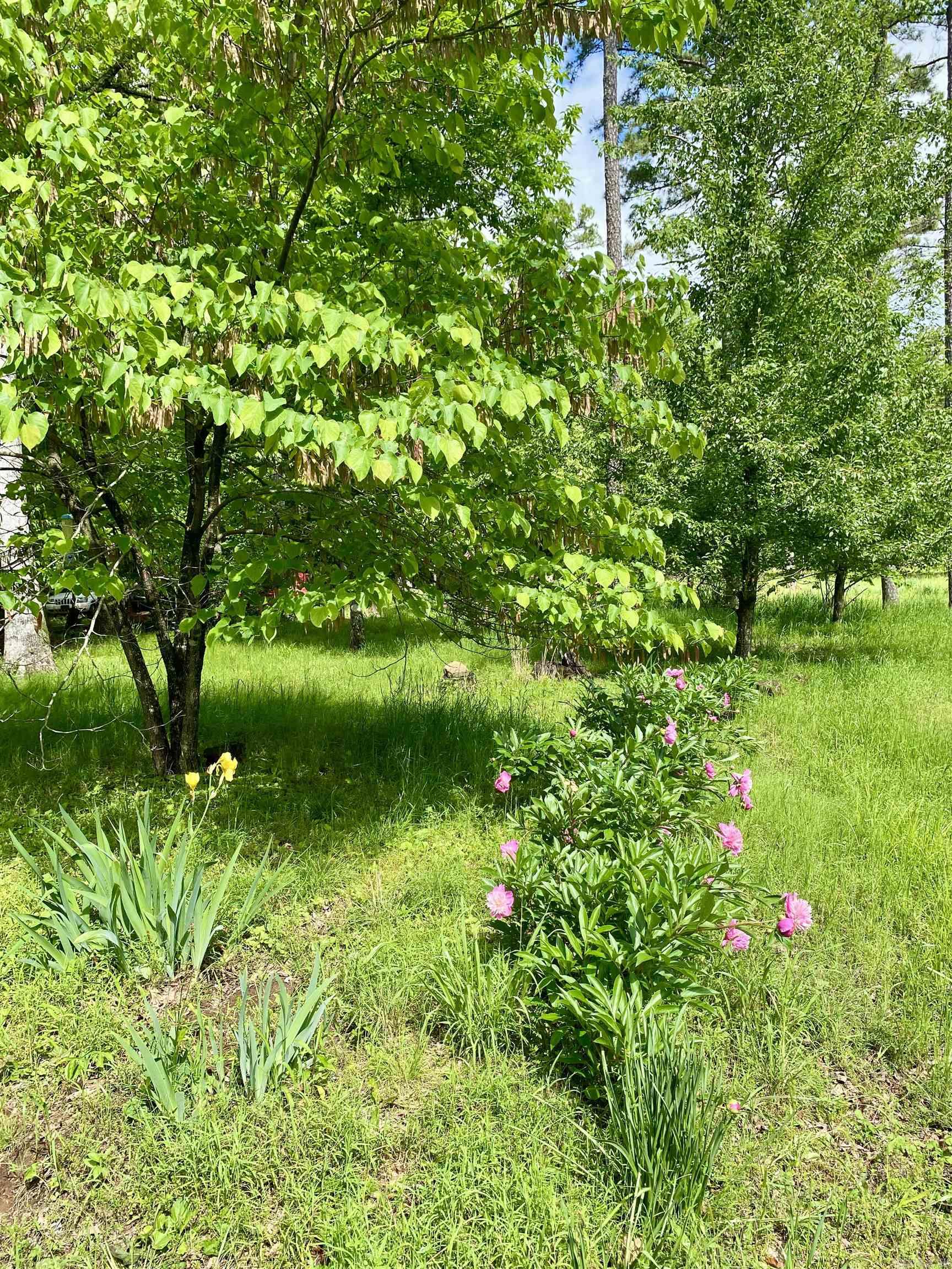 770  Private Road 4472  Ozone, AR