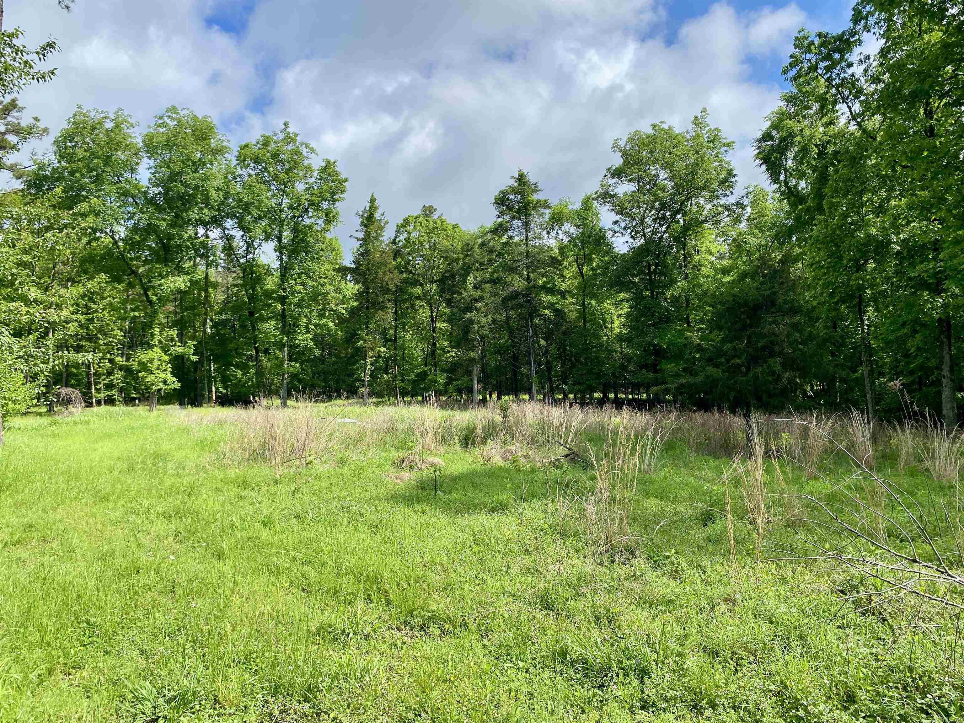 770  Private Road 4472  Ozone, AR