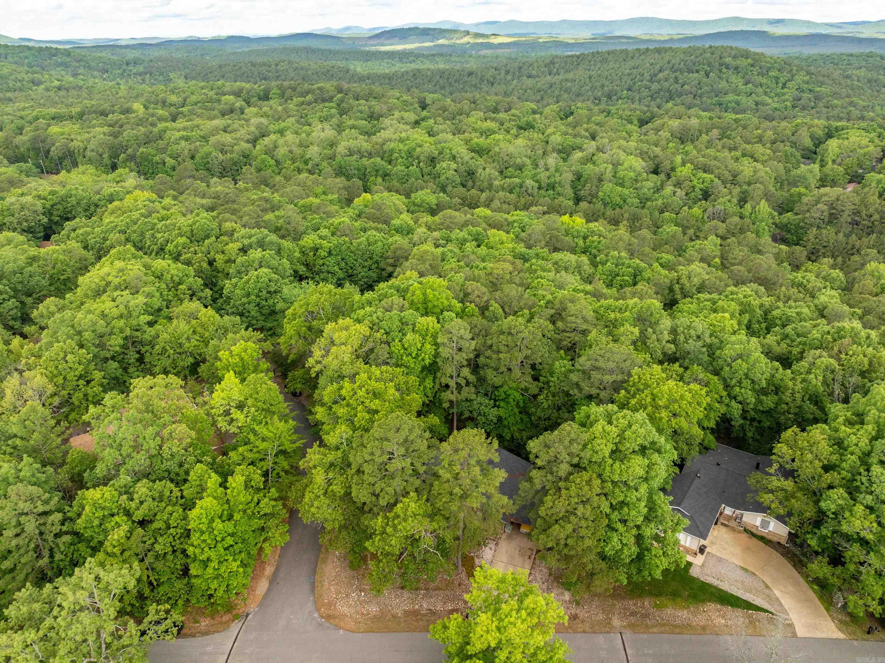 1  Vilafranca  Hot Springs Village, AR