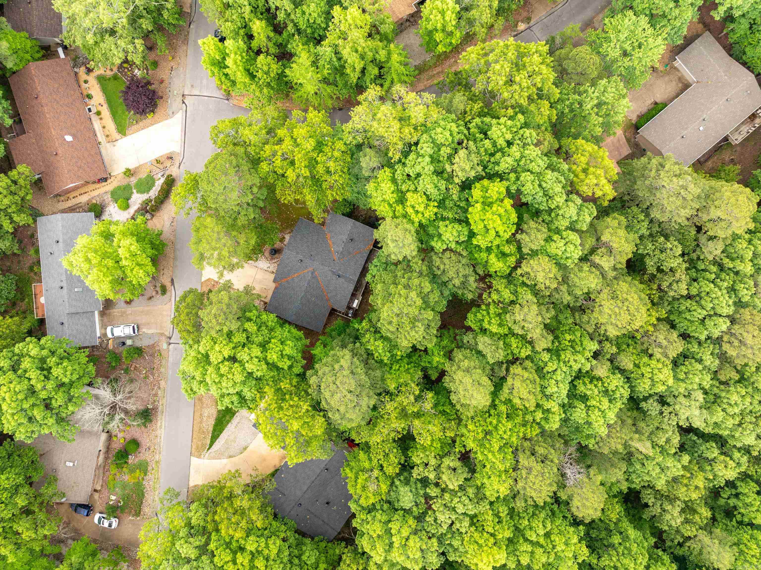 1  Vilafranca  Hot Springs Village, AR