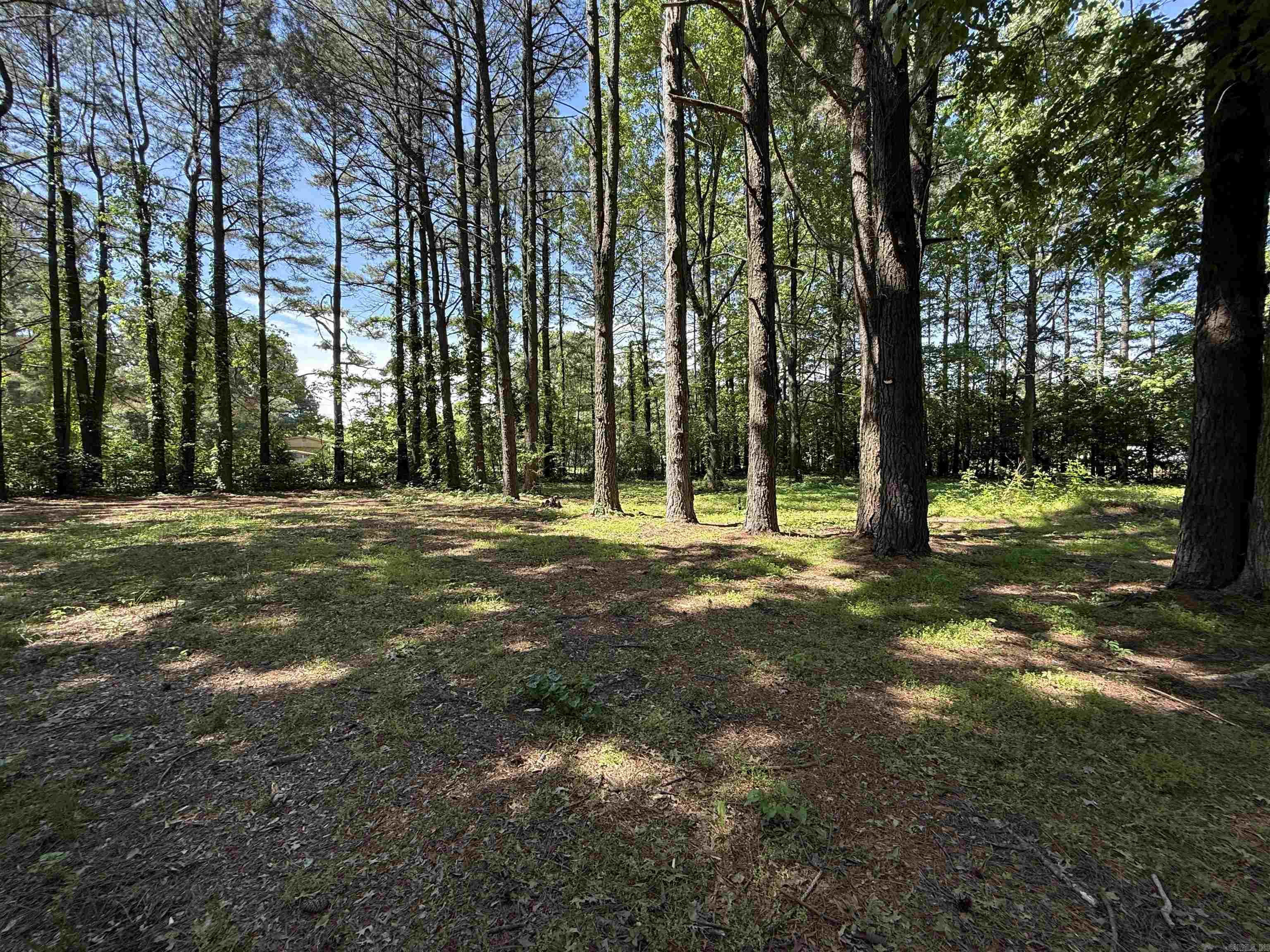 34 County Road 460  Jonesboro, AR