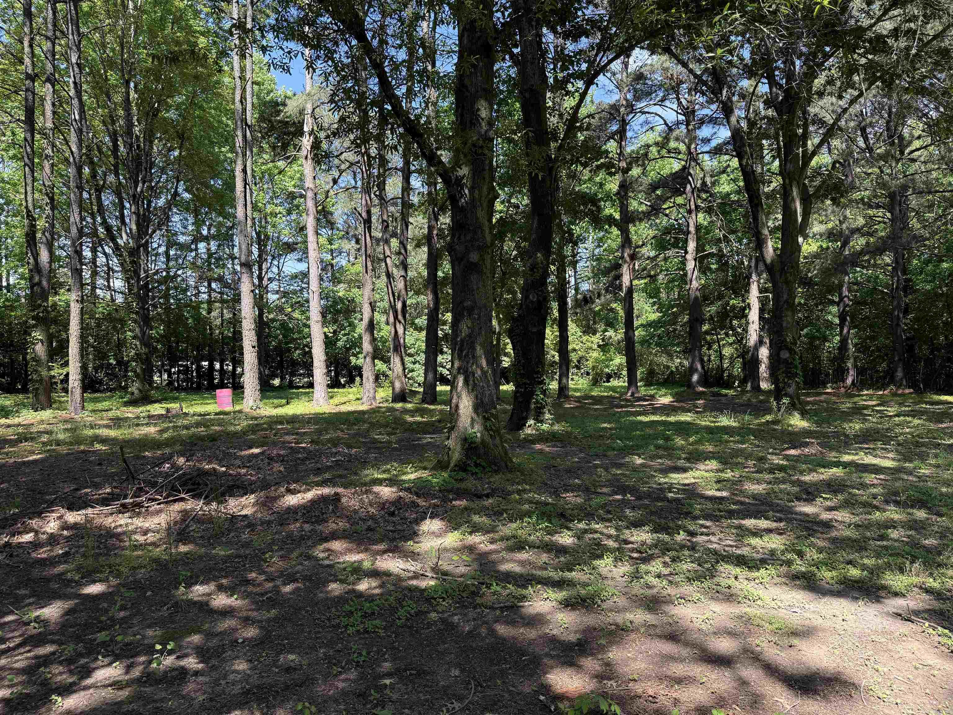 34 County Road 460  Jonesboro, AR
