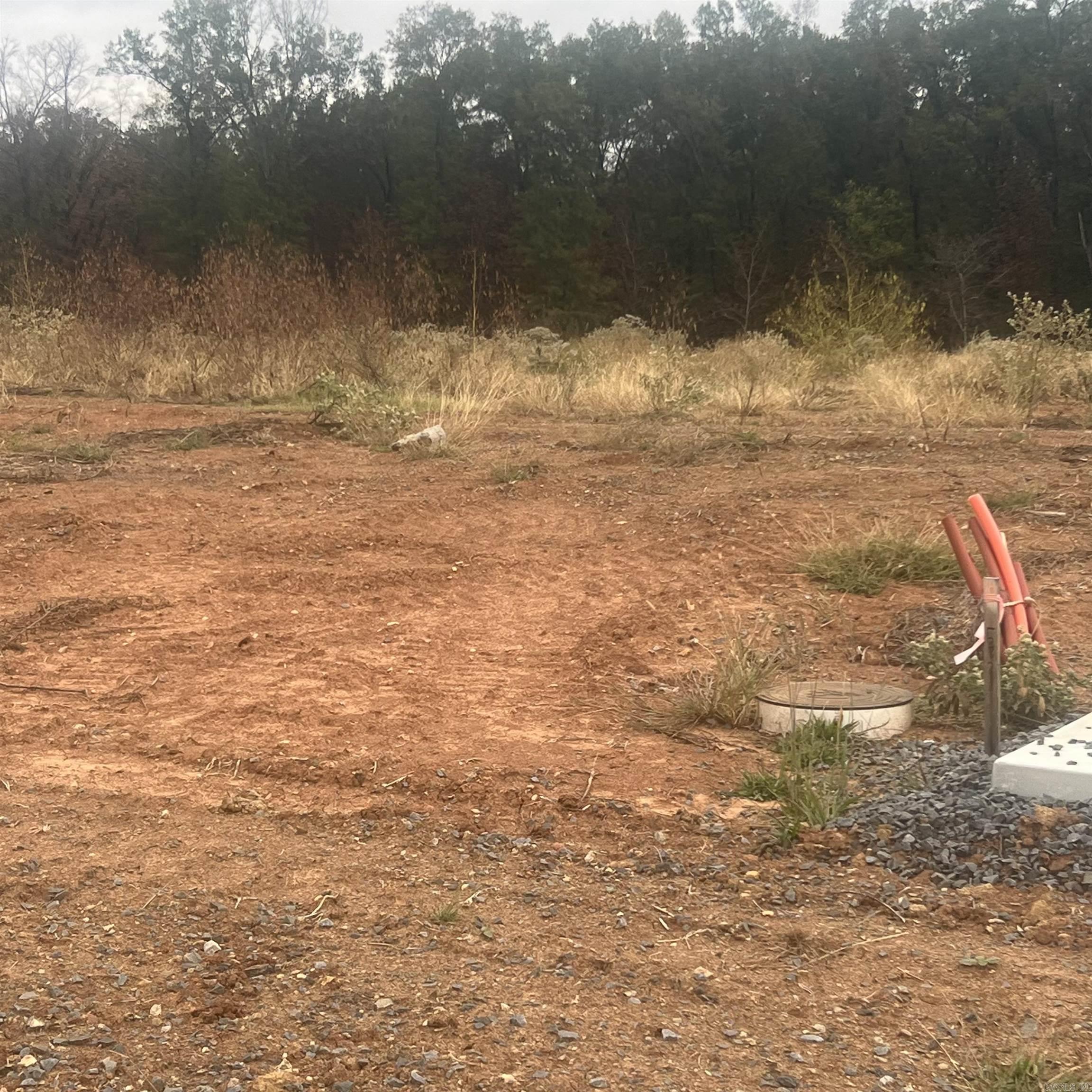 513  Corondelet Lane  Maumelle, AR