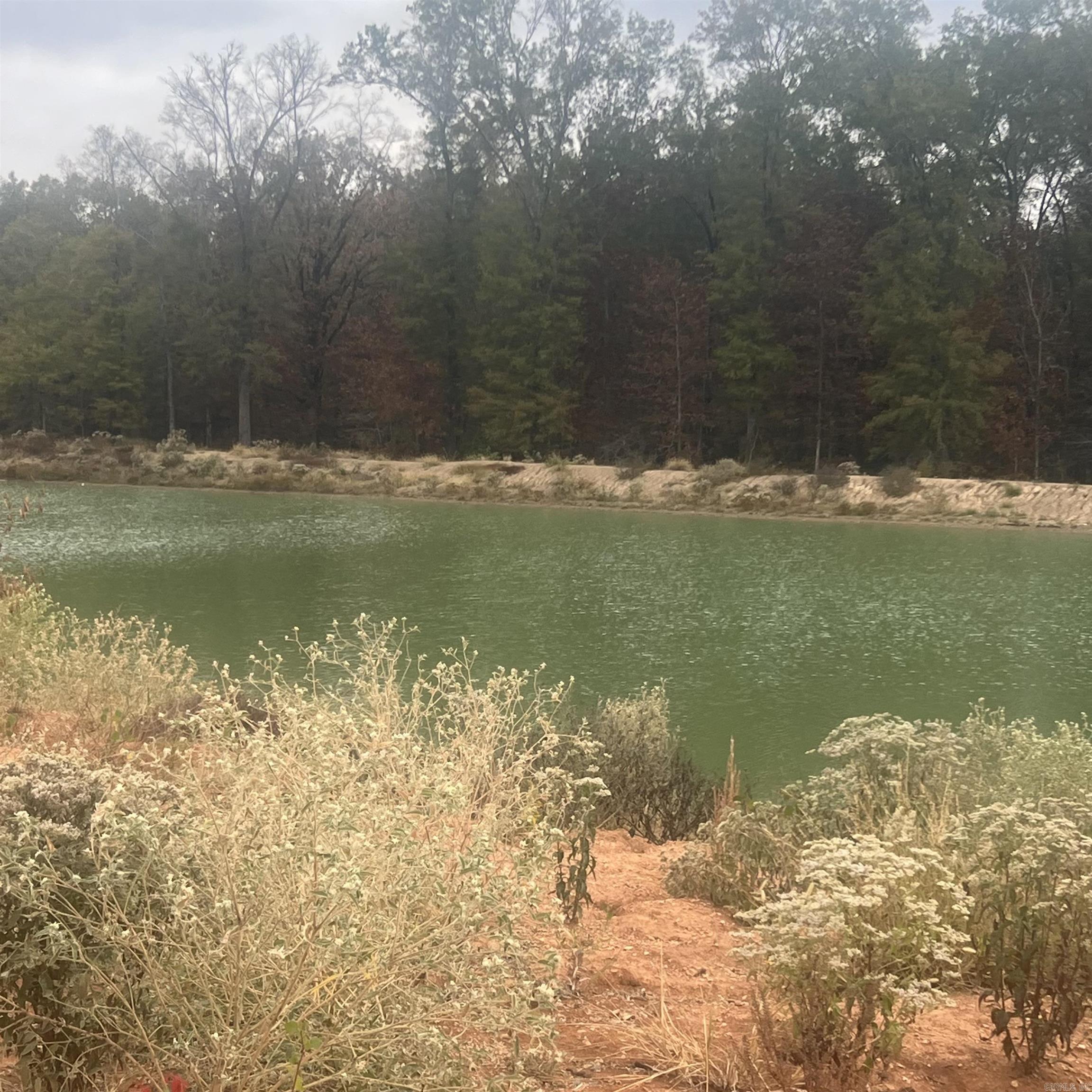 513  Corondelet Lane  Maumelle, AR