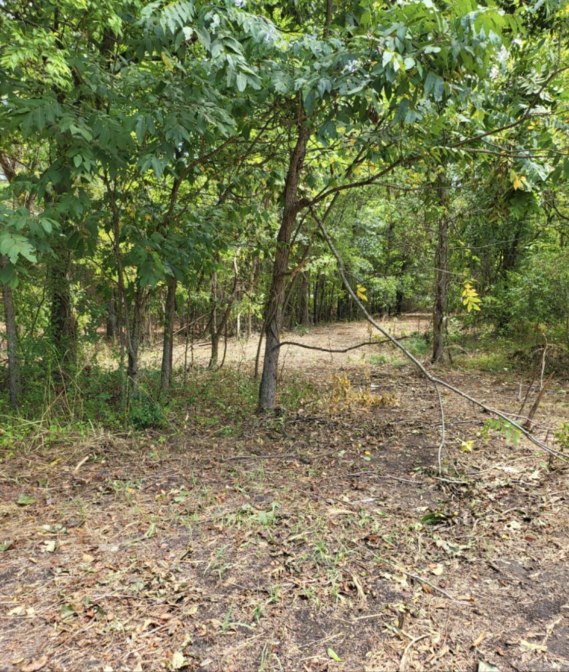 Tract B Alexander  Alexander, AR