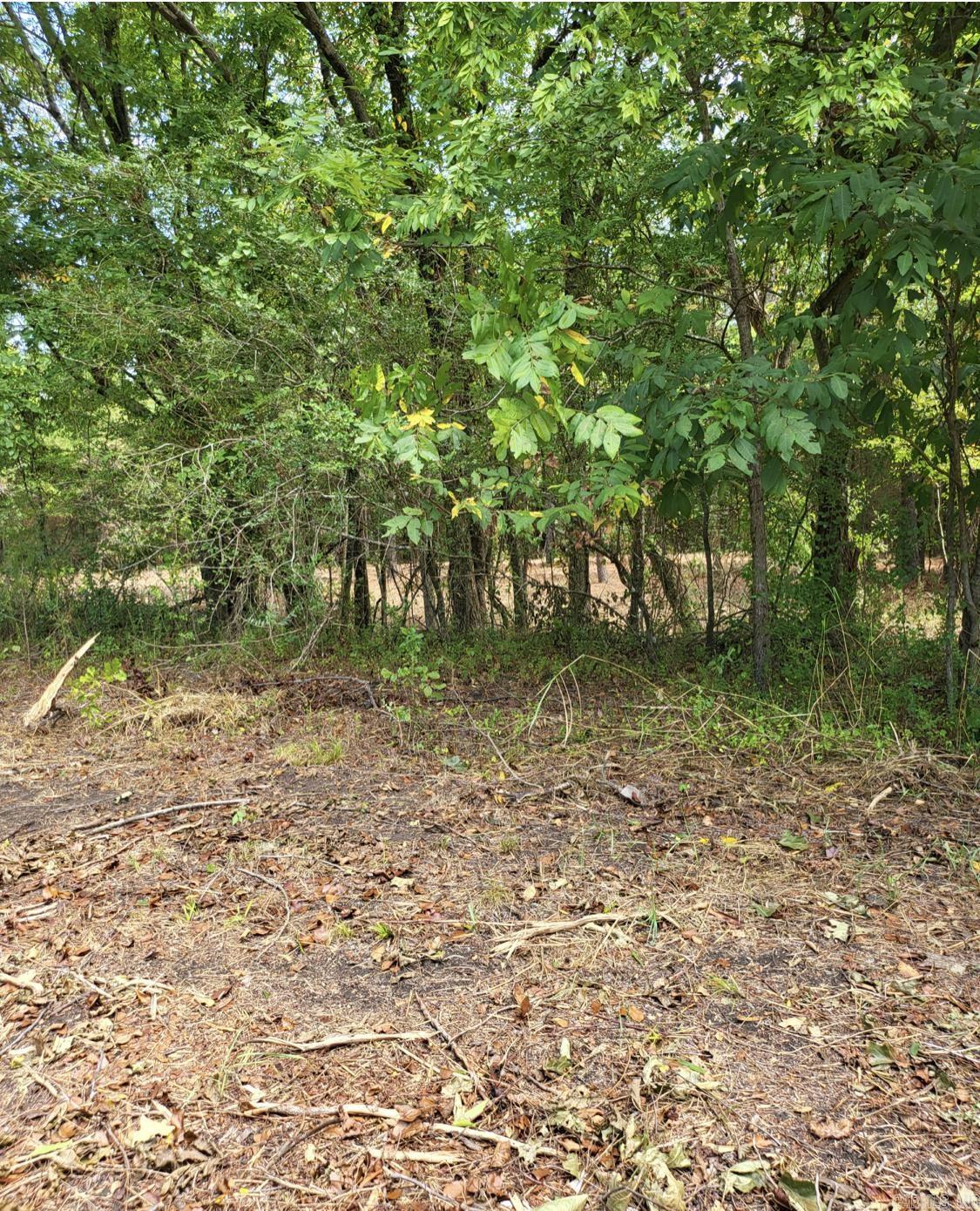 Tract B Alexander  Alexander, AR