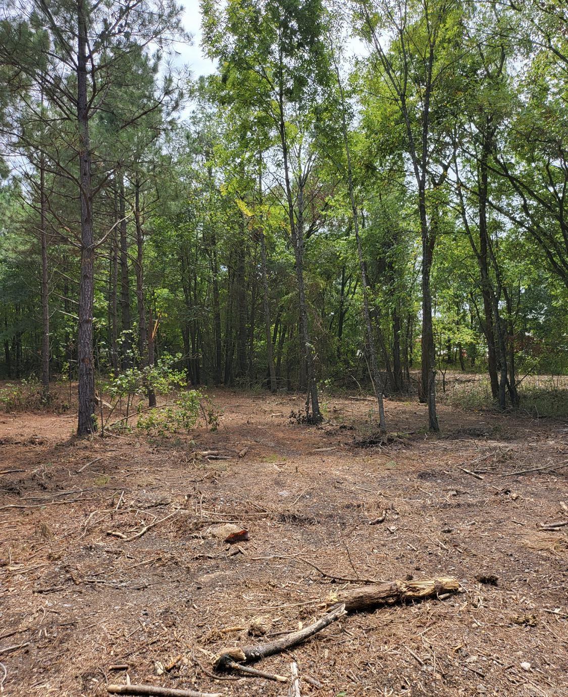 Tract B Alexander  Alexander, AR