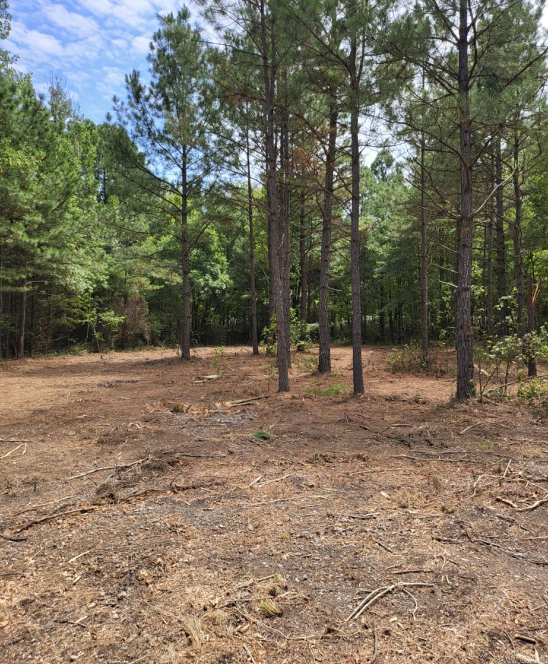 Tract B Alexander  Alexander, AR