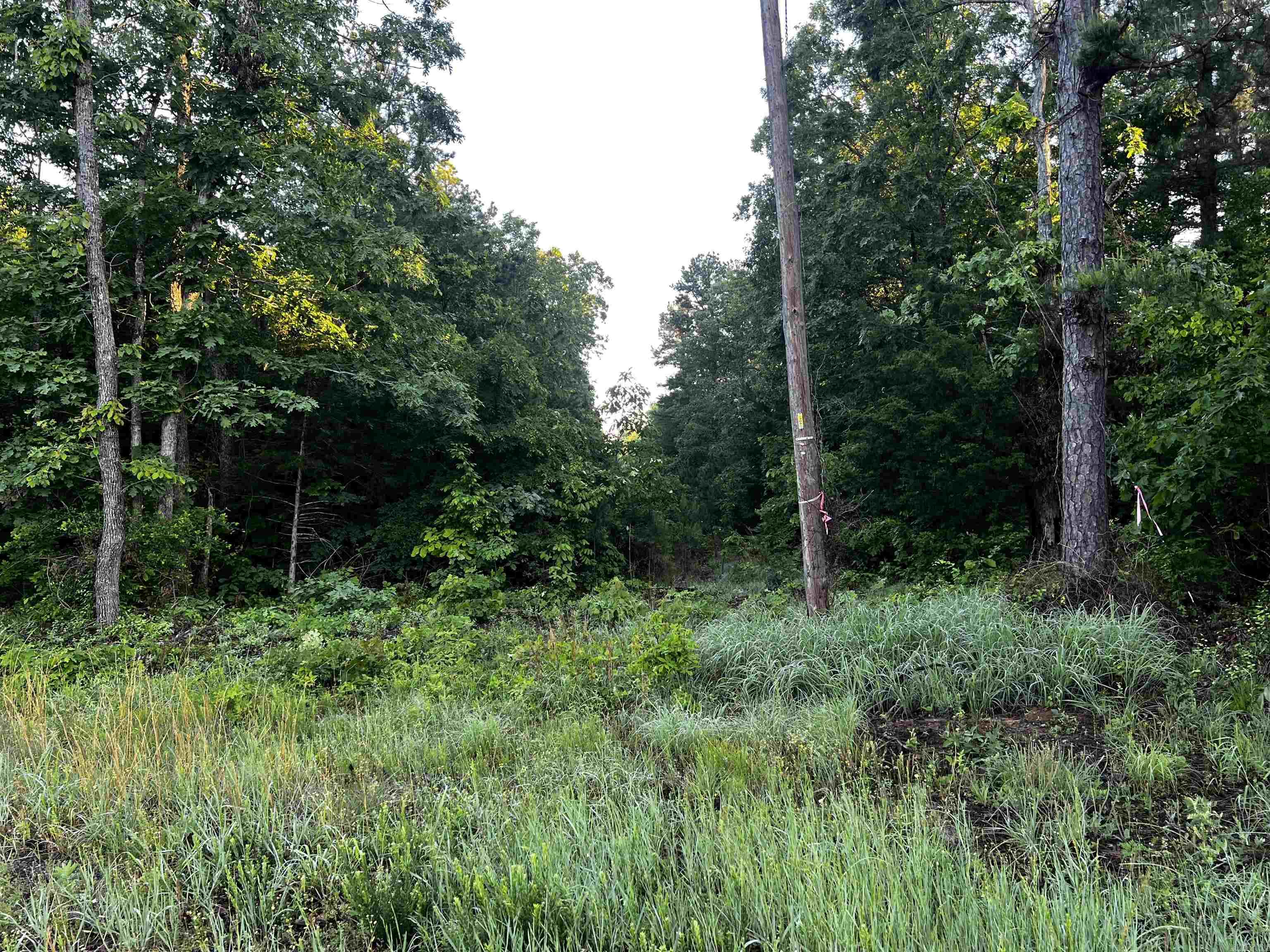 00  Good Springs Rd  Heber Springs, AR